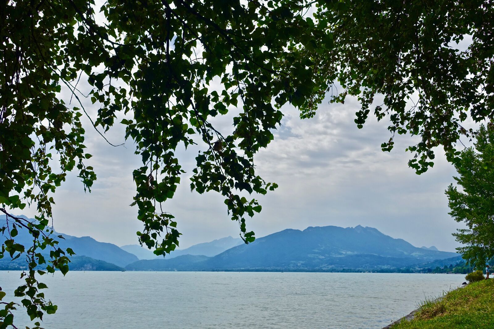 Sony Cyber-shot DSC-RX100 III sample photo. Landscape, water, tree photography