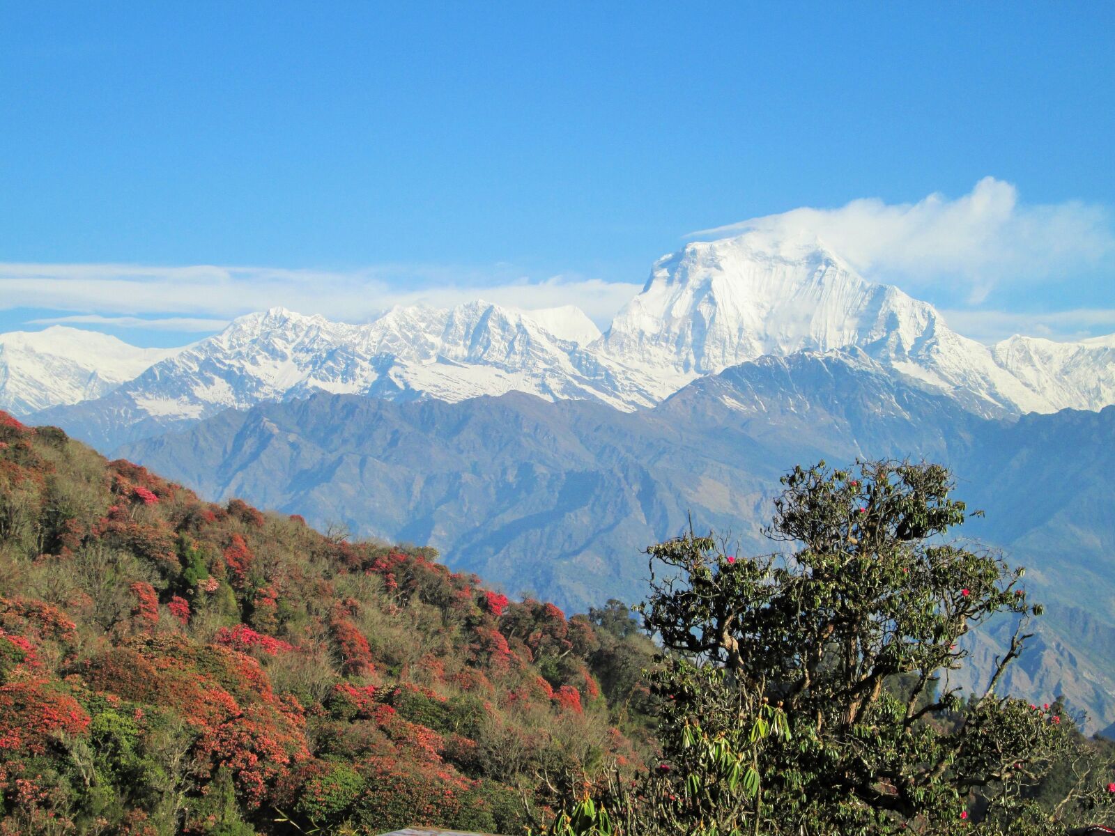 Canon PowerShot A810 sample photo. Himalaya, nepal, himalayas photography