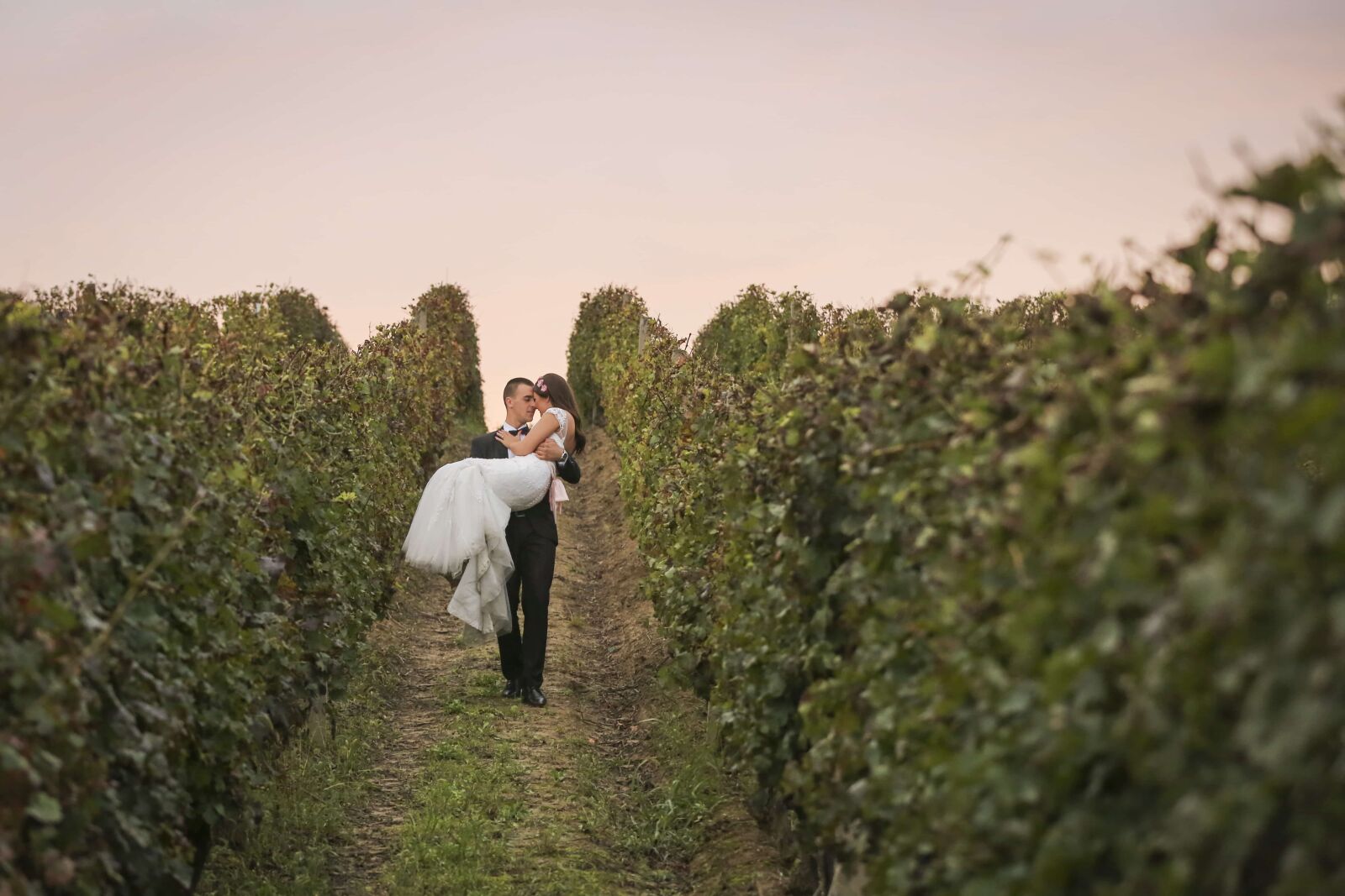 Canon EOS 5D Mark III sample photo. Bride, groom, hilltop, holding photography