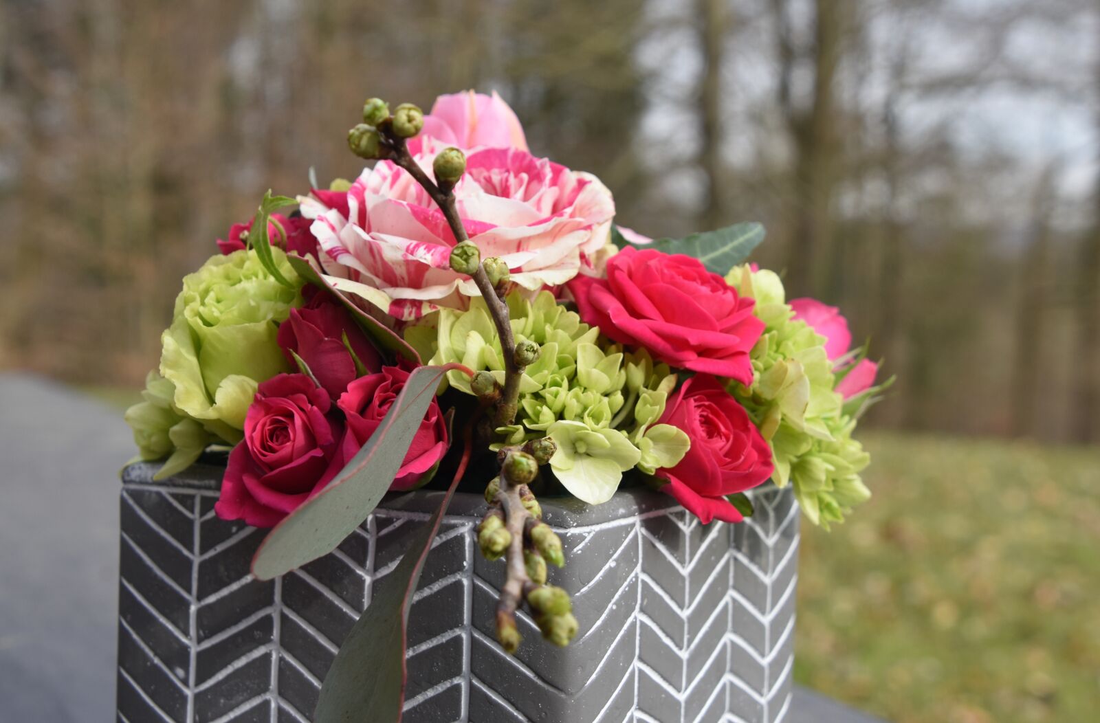 Nikon D5600 sample photo. Flower, nature, decoration photography