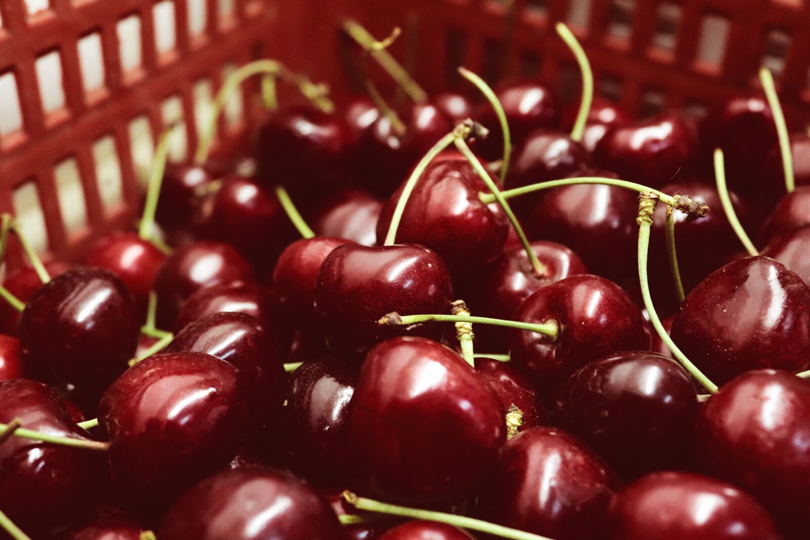 Canon EOS 200D (EOS Rebel SL2 / EOS Kiss X9) sample photo. Cherries, cherry, red photography
