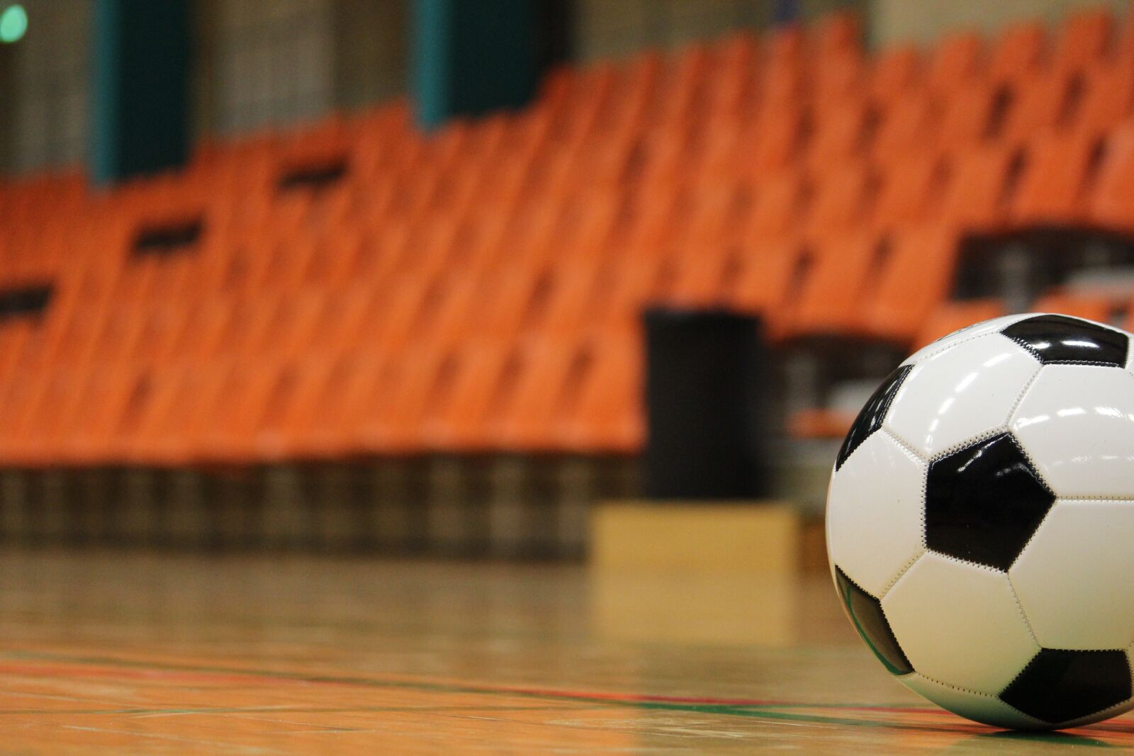 Canon EOS 600D (Rebel EOS T3i / EOS Kiss X5) sample photo. Ball, soccer, training photography
