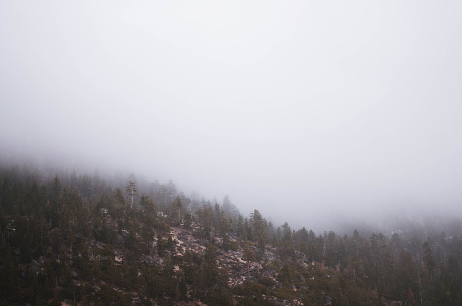 Nikon D5000 sample photo. Nature, mountains, slope photography