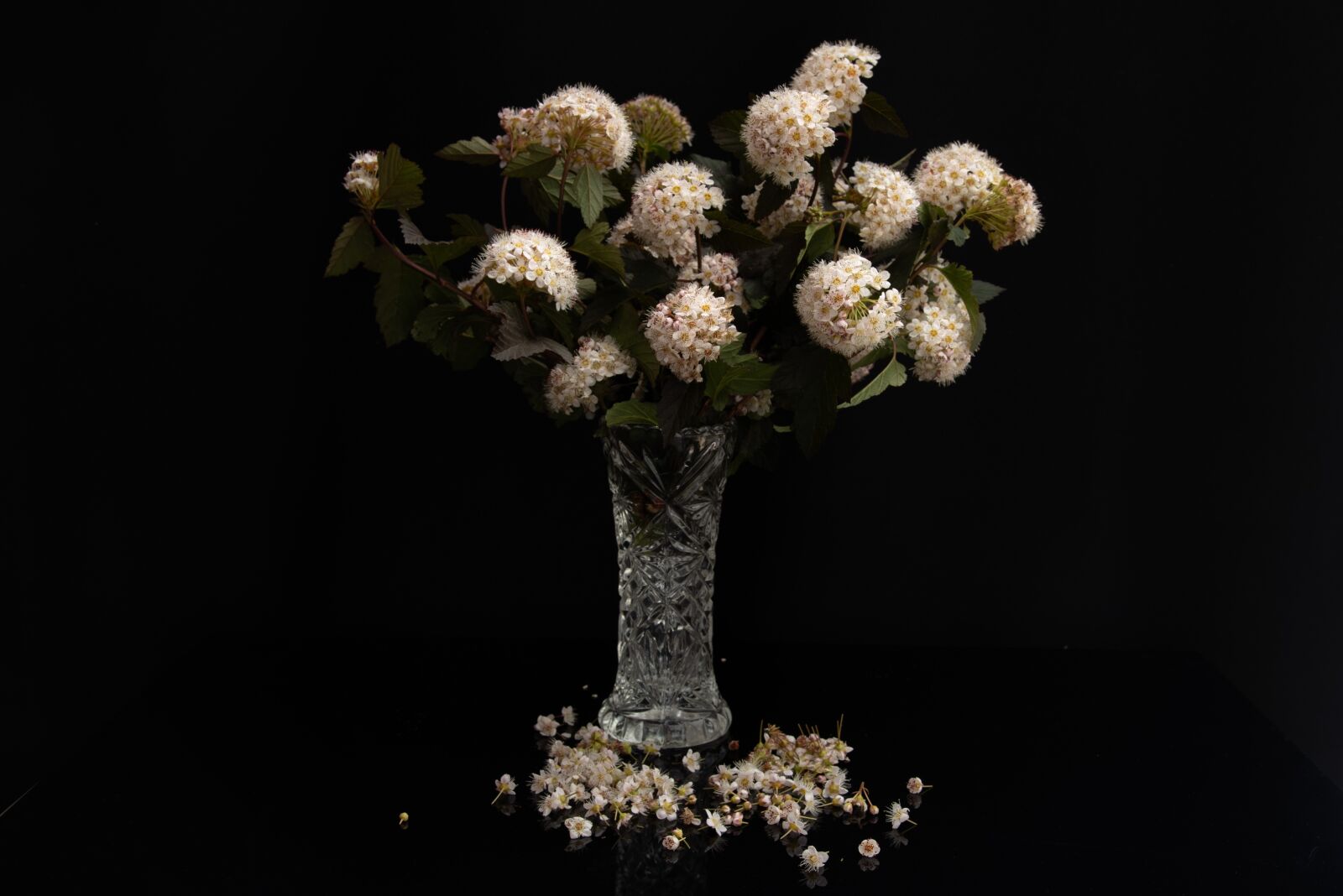 Nikon D750 sample photo. Bouquet, still life, dark photography