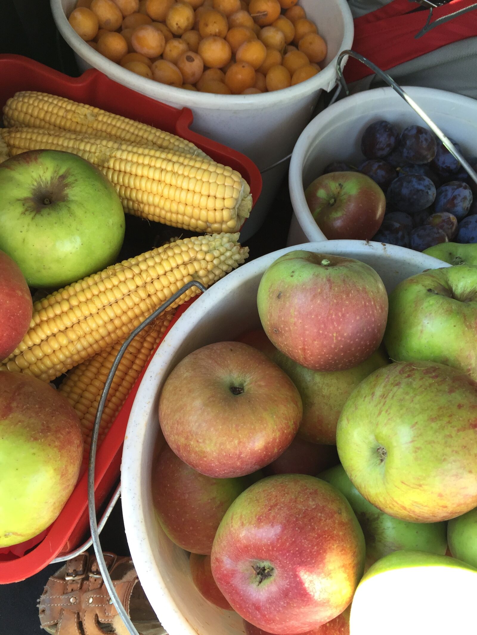 Apple iPhone 6 sample photo. Fruit, apple, corn photography