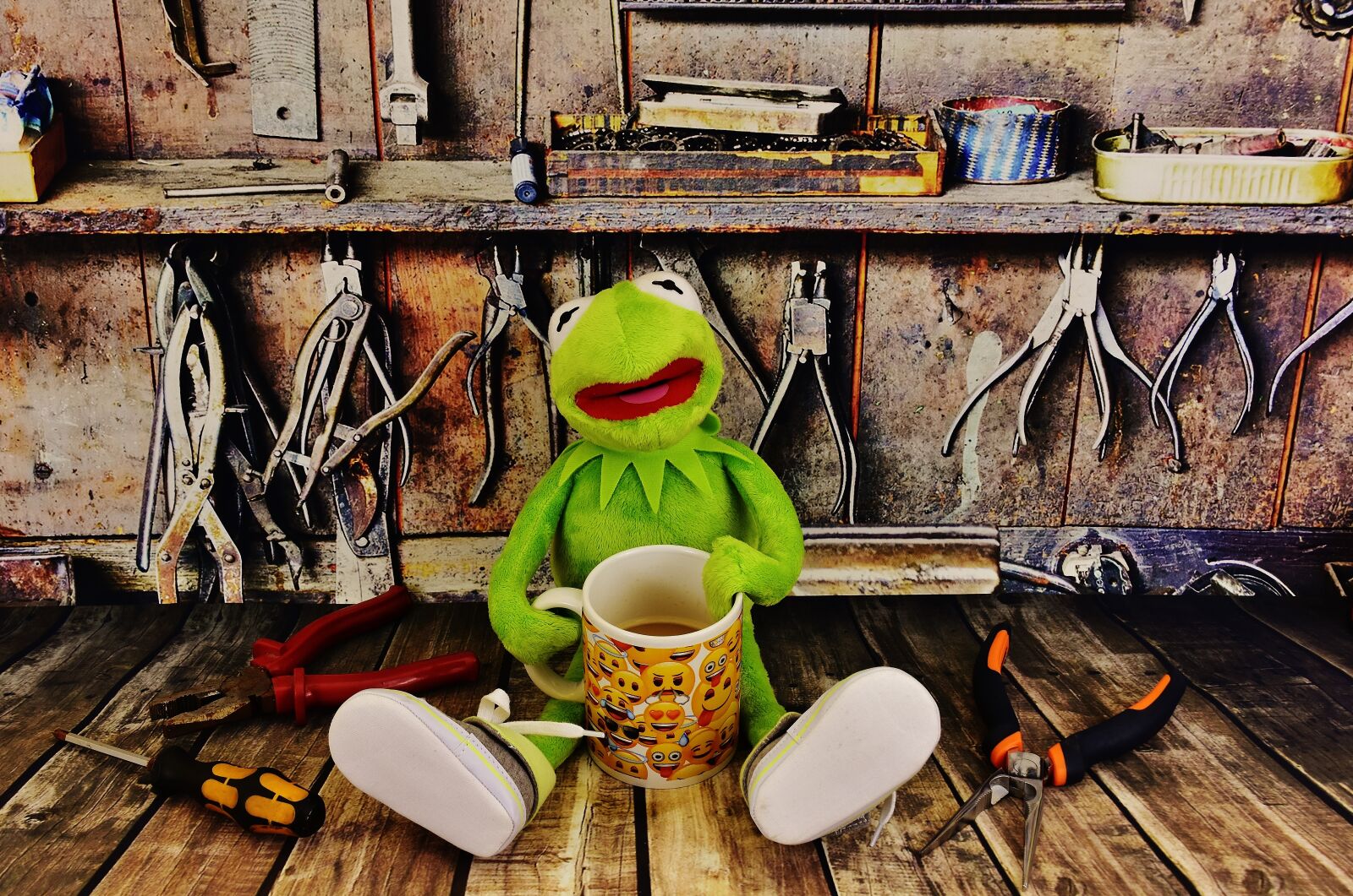 Nikon D7200 sample photo. Kermit, workshop, coffee break photography
