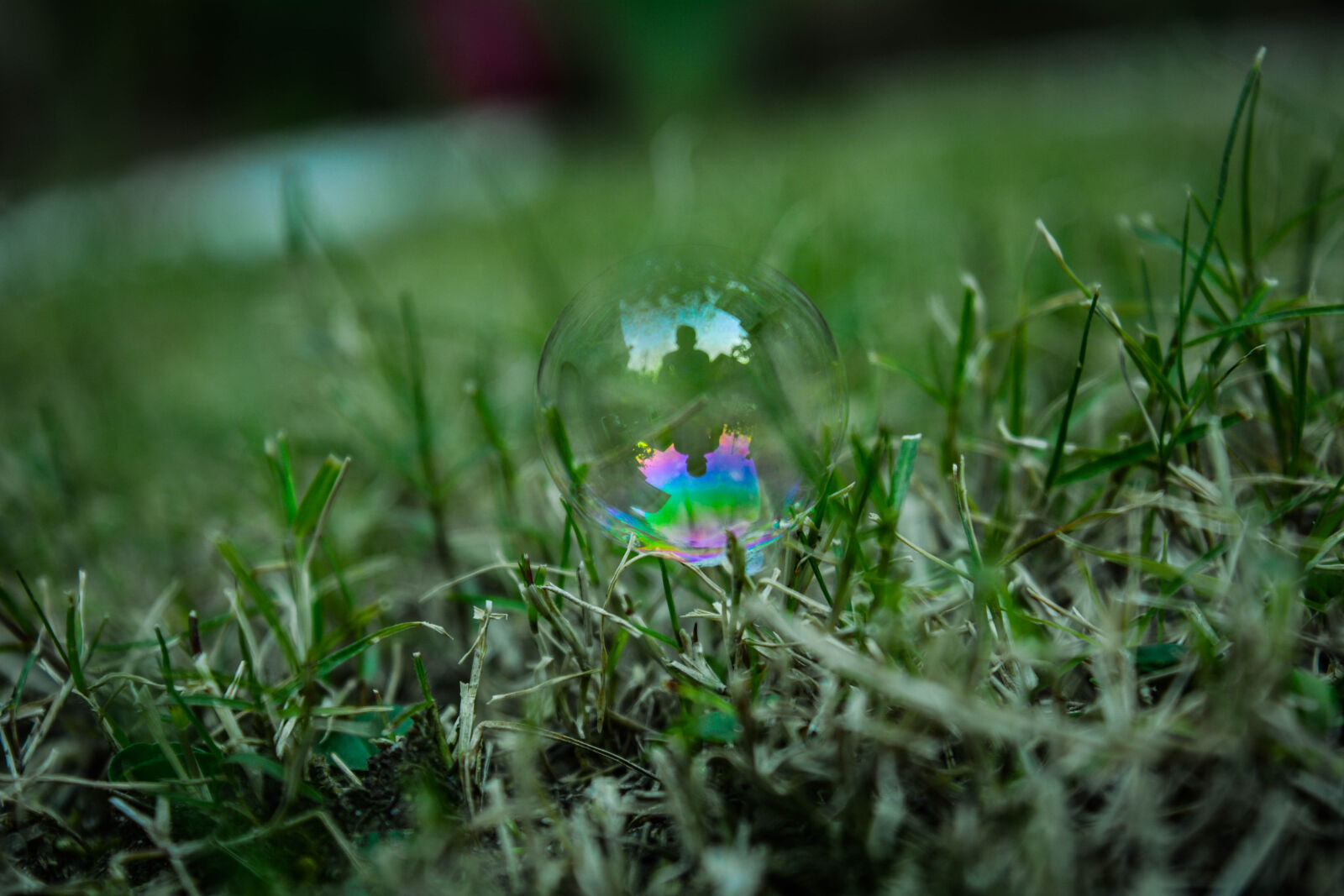 Nikon D5200 sample photo