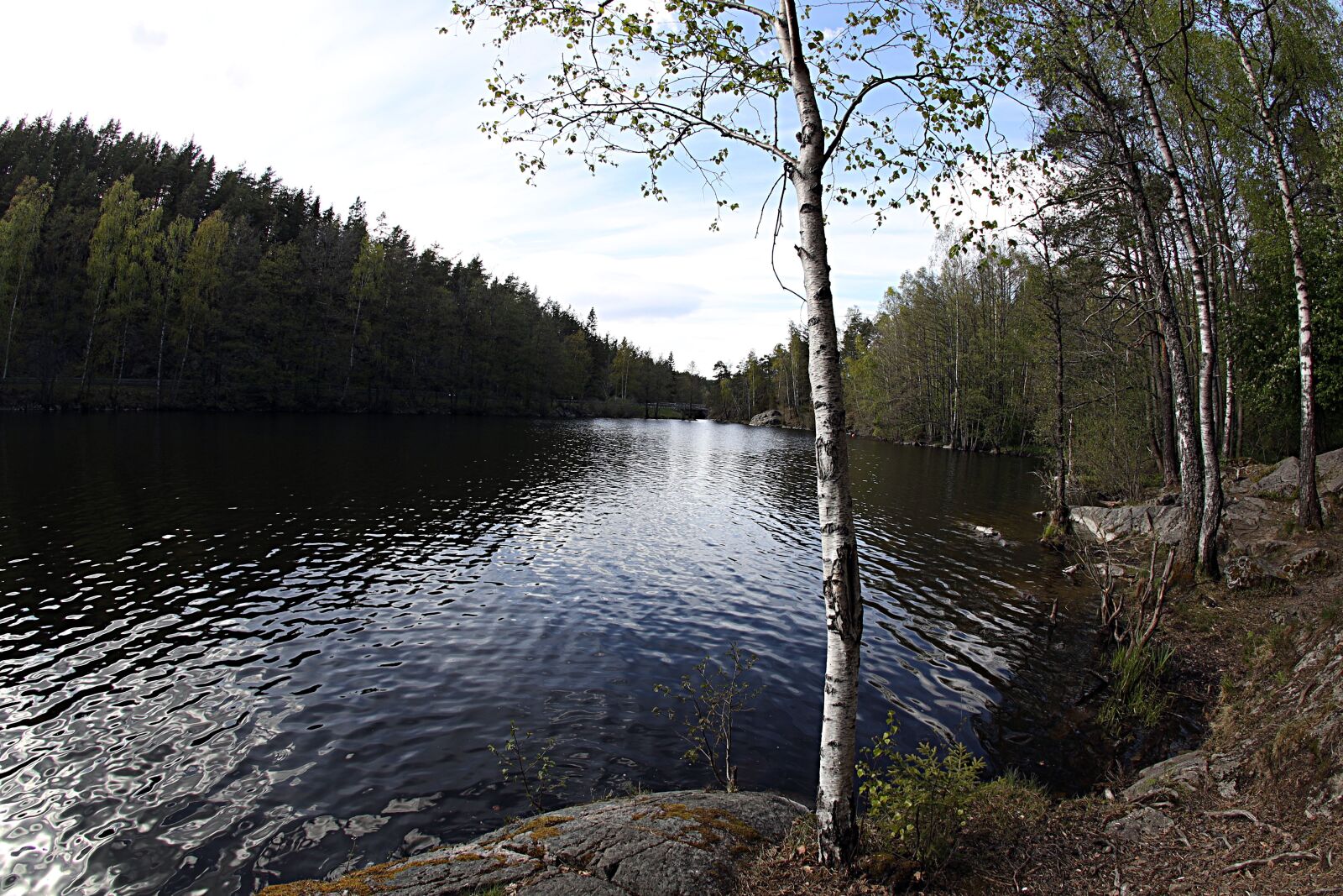 Canon EOS R sample photo. Water, lake, trees photography
