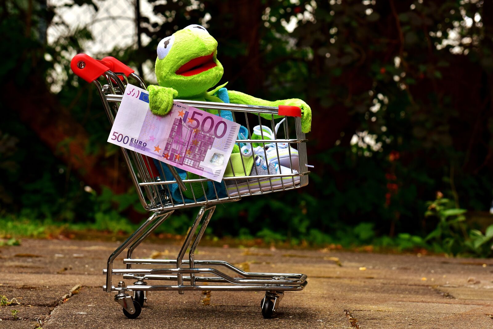 Nikon D7200 sample photo. Kermit, shopping cart, shopping photography