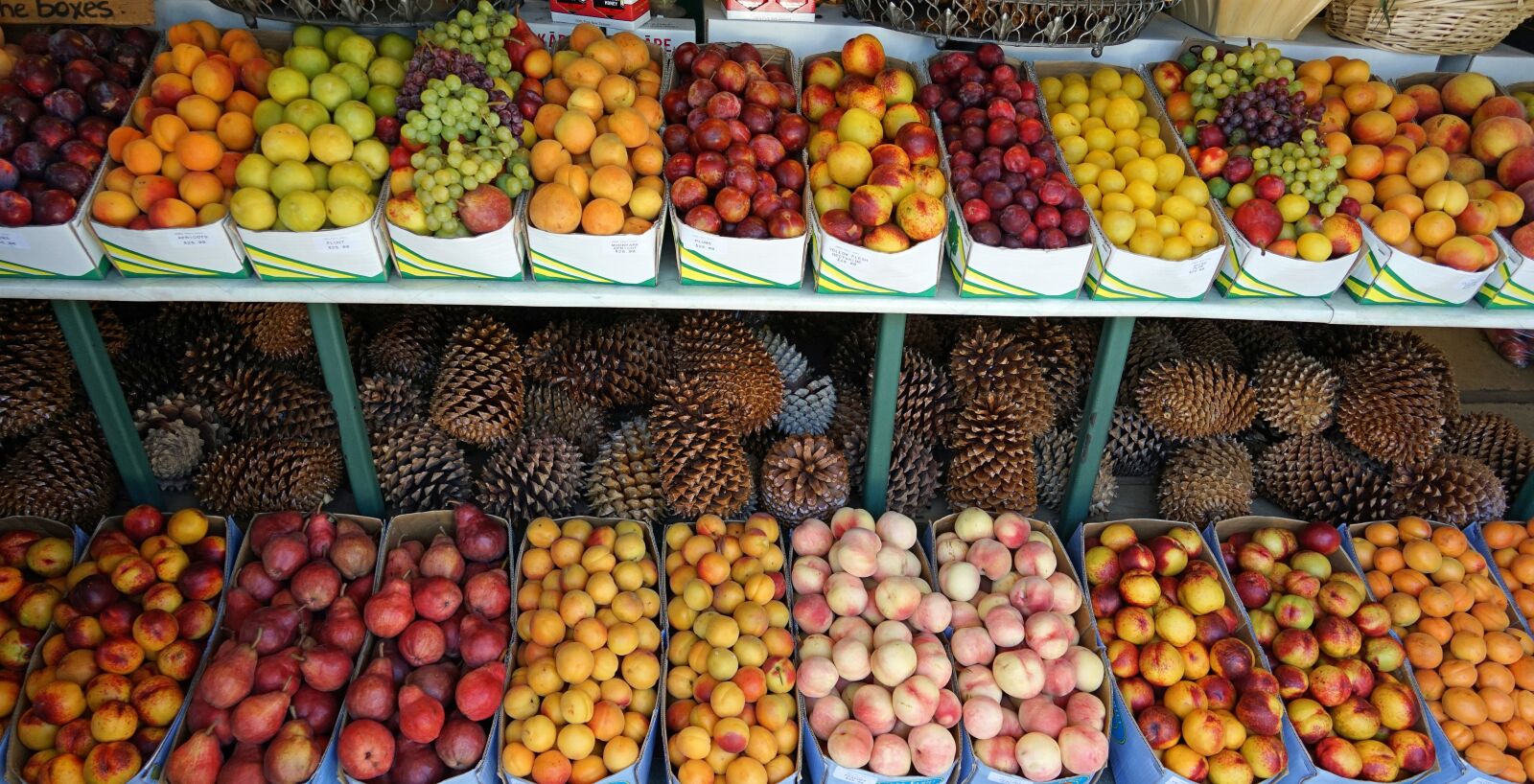 Sony a7 + Sony FE 24-240mm F3.5-6.3 OSS sample photo. Fruit, fruit stand, fruits photography