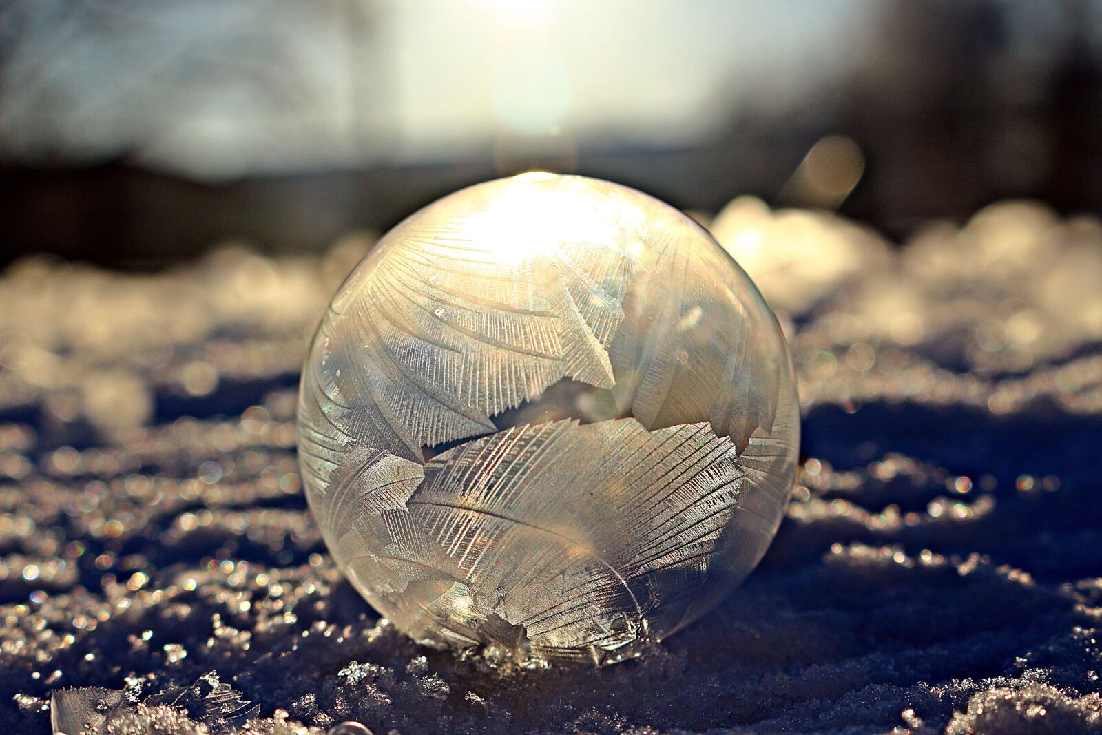 Canon EOS 100D (EOS Rebel SL1 / EOS Kiss X7) sample photo. Frosted soap bubble, eiskristalle photography