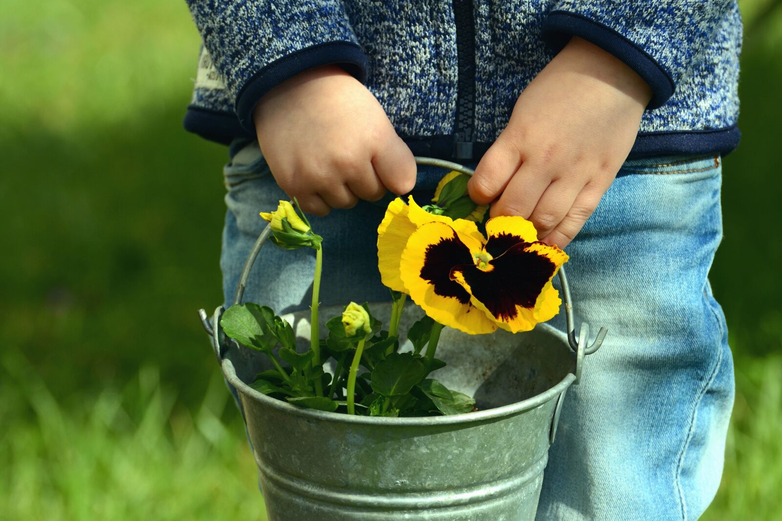Nikon D5200 sample photo. Boy, bucket, flower, flowering photography