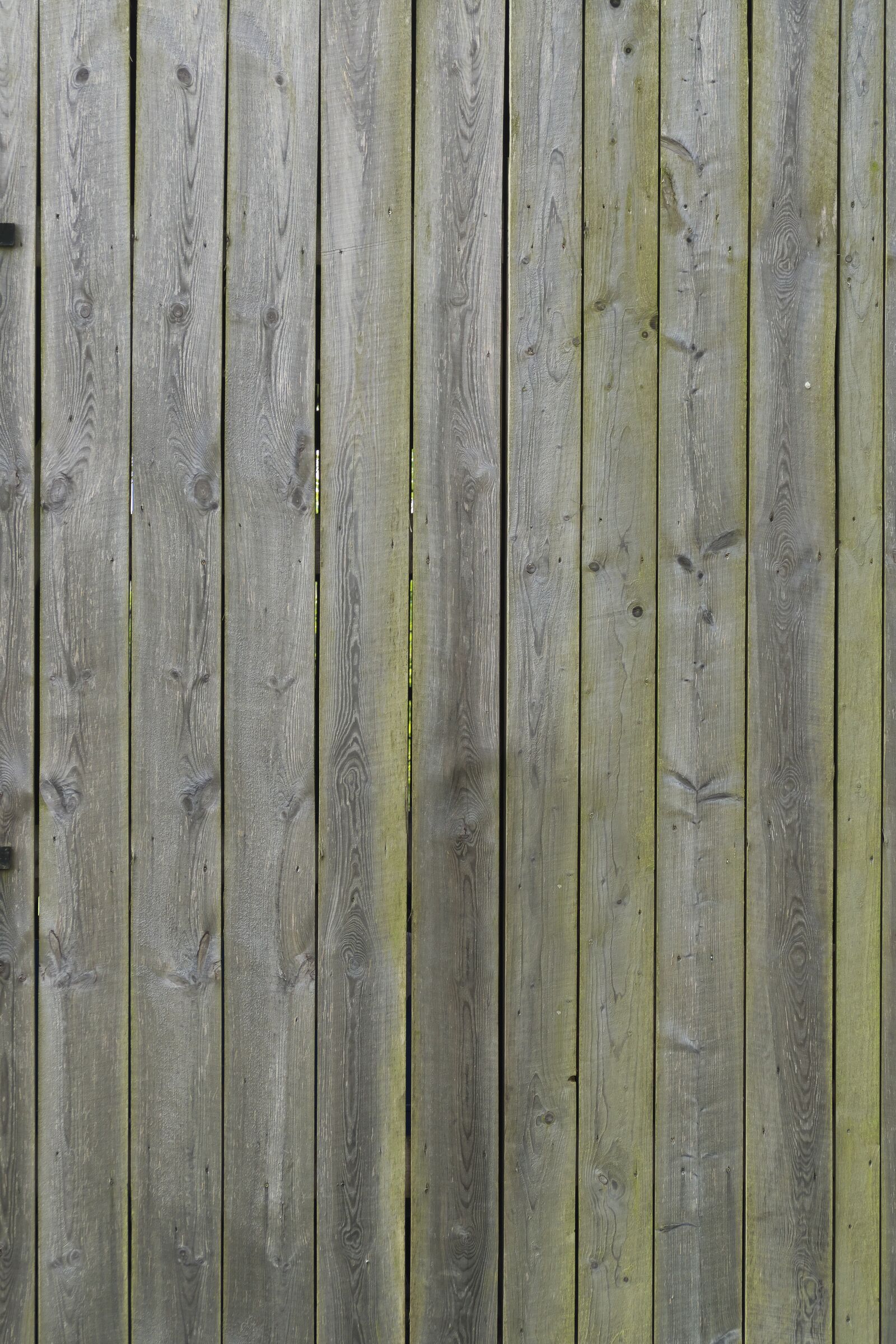 Panasonic Lumix DMC-FZ1000 sample photo. Wooden boards, boards, wooden photography