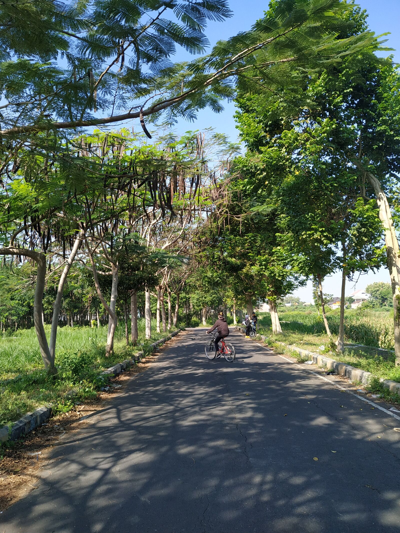 Xiaomi Redmi Note 6 Pro sample photo. Kediri, east java, indonesia photography