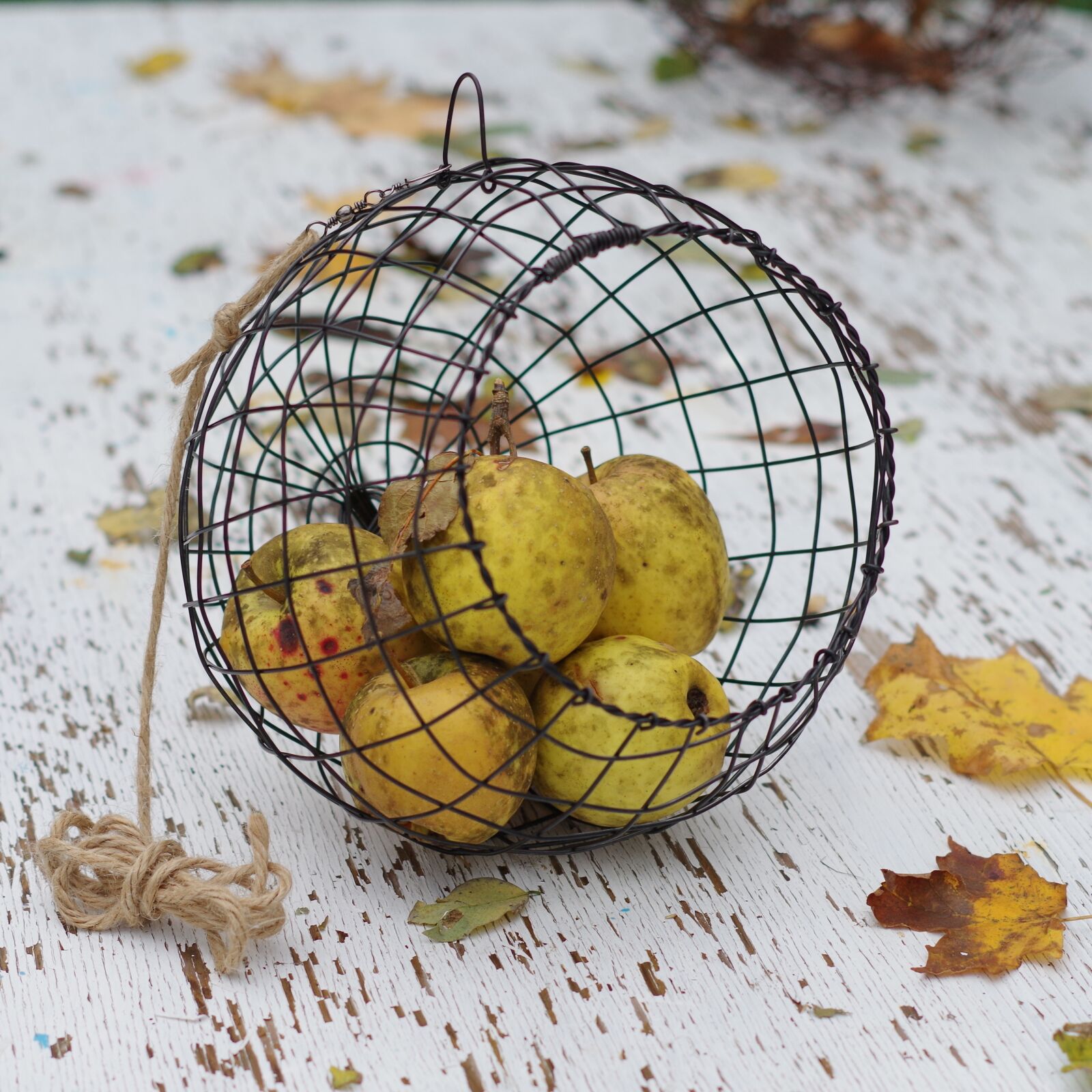 Pentax K-01 sample photo. Apples, fall, basket photography
