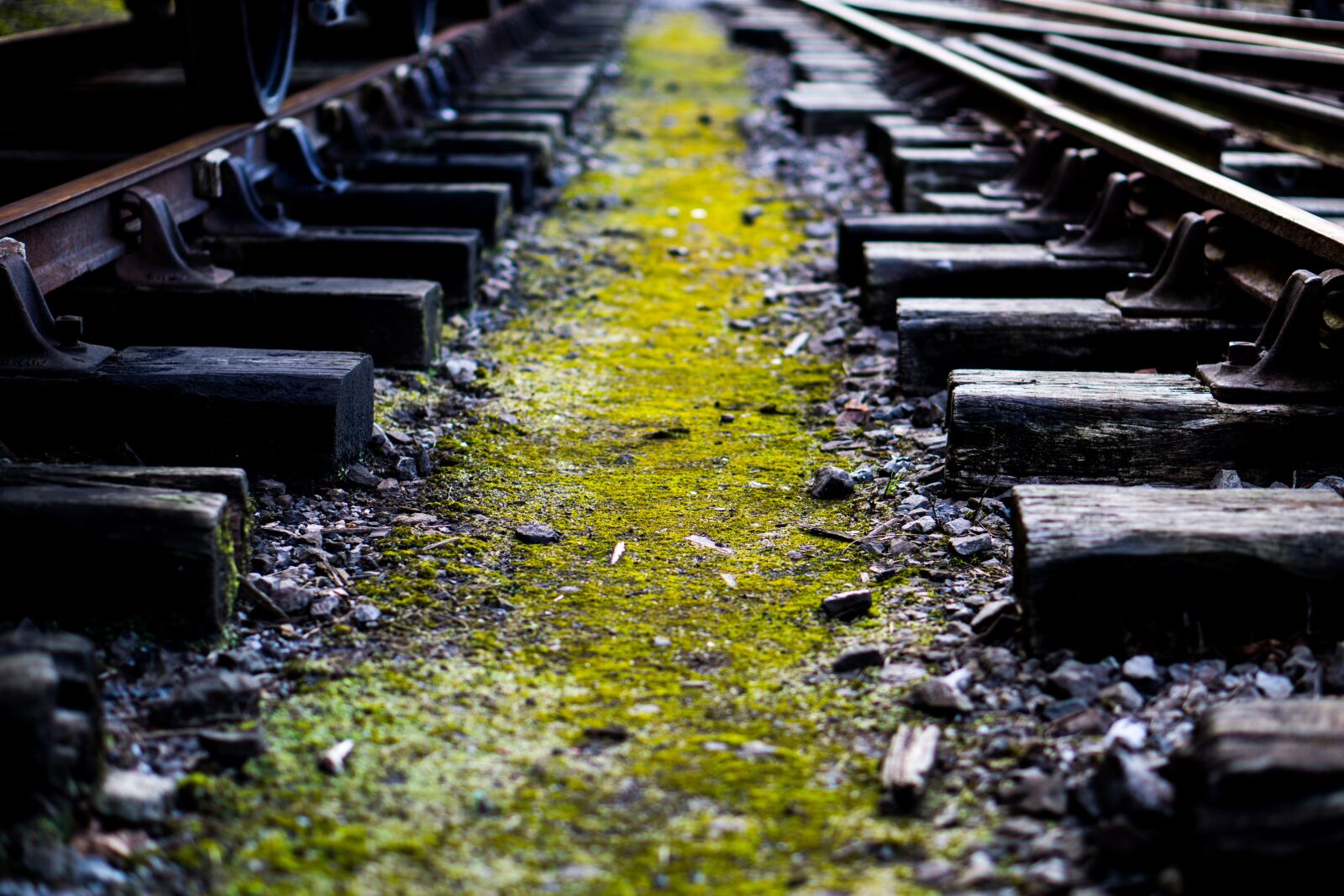 Sony a5100 sample photo. Train, train tracks, railway photography
