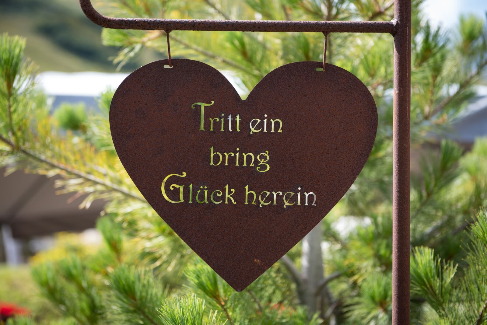 Nikon D750 sample photo. Shield, heart shield, text photography
