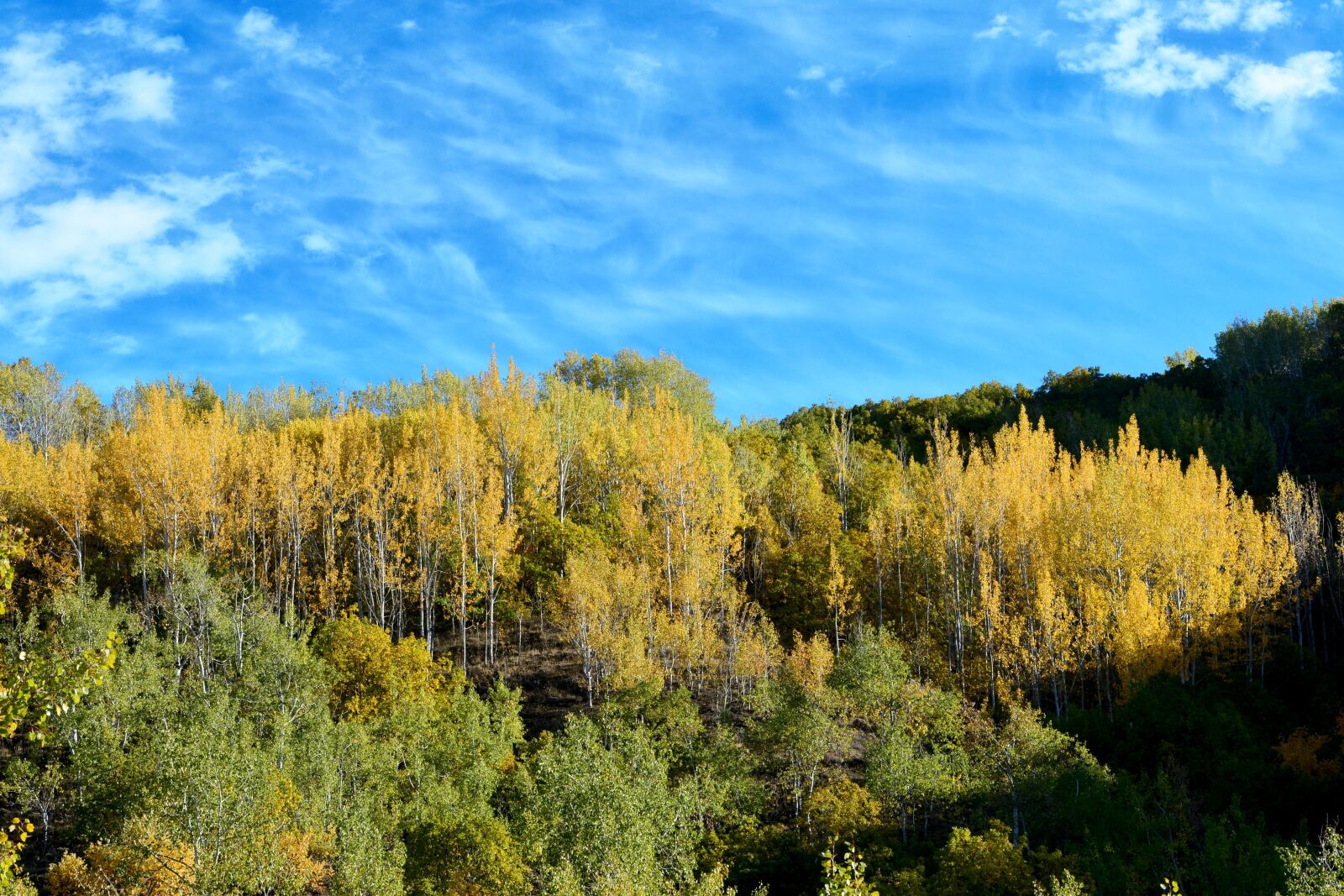 Nikon D7100 sample photo. Autumn, season, nature photography