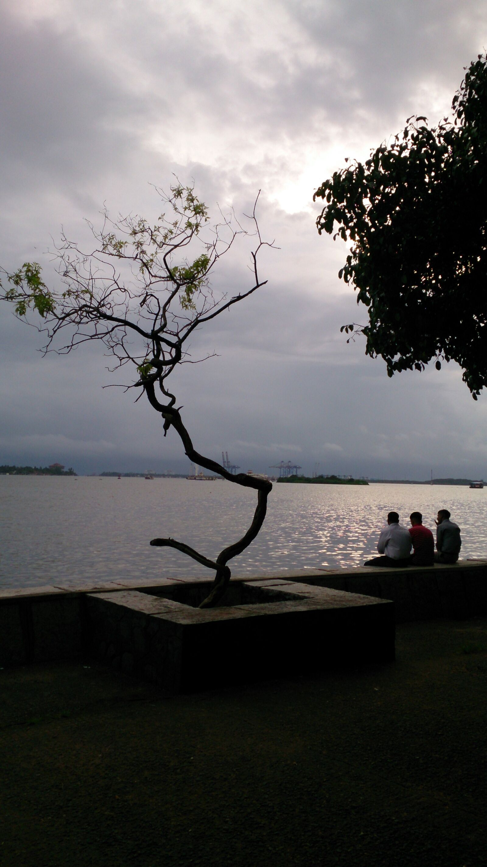 Sony Xperia Z sample photo. Cloudy, lake, tree, water photography