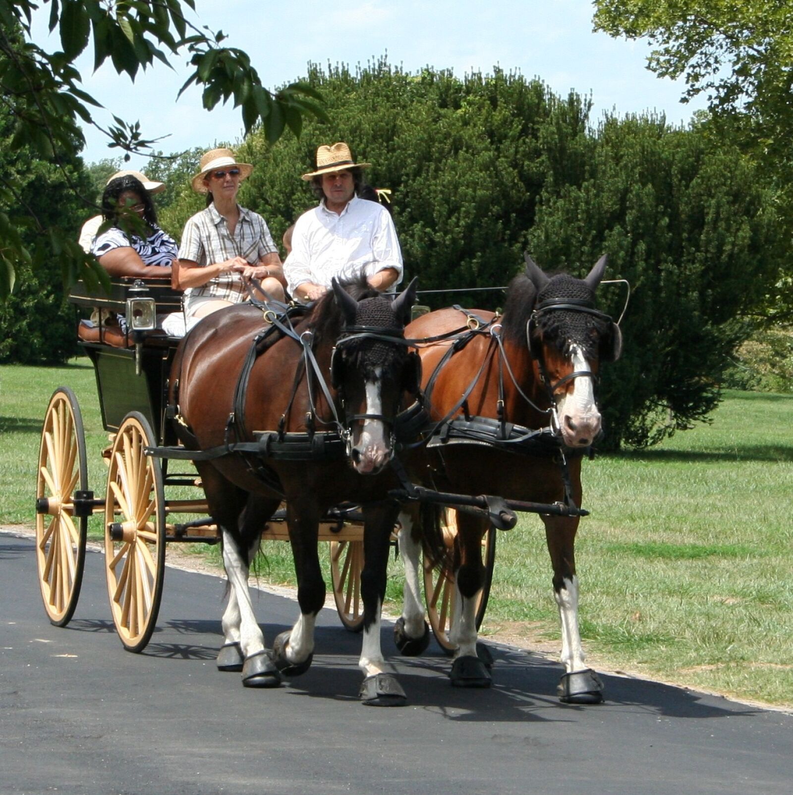 Canon EOS 350D (EOS Digital Rebel XT / EOS Kiss Digital N) sample photo. Horses, carriage, tourist photography