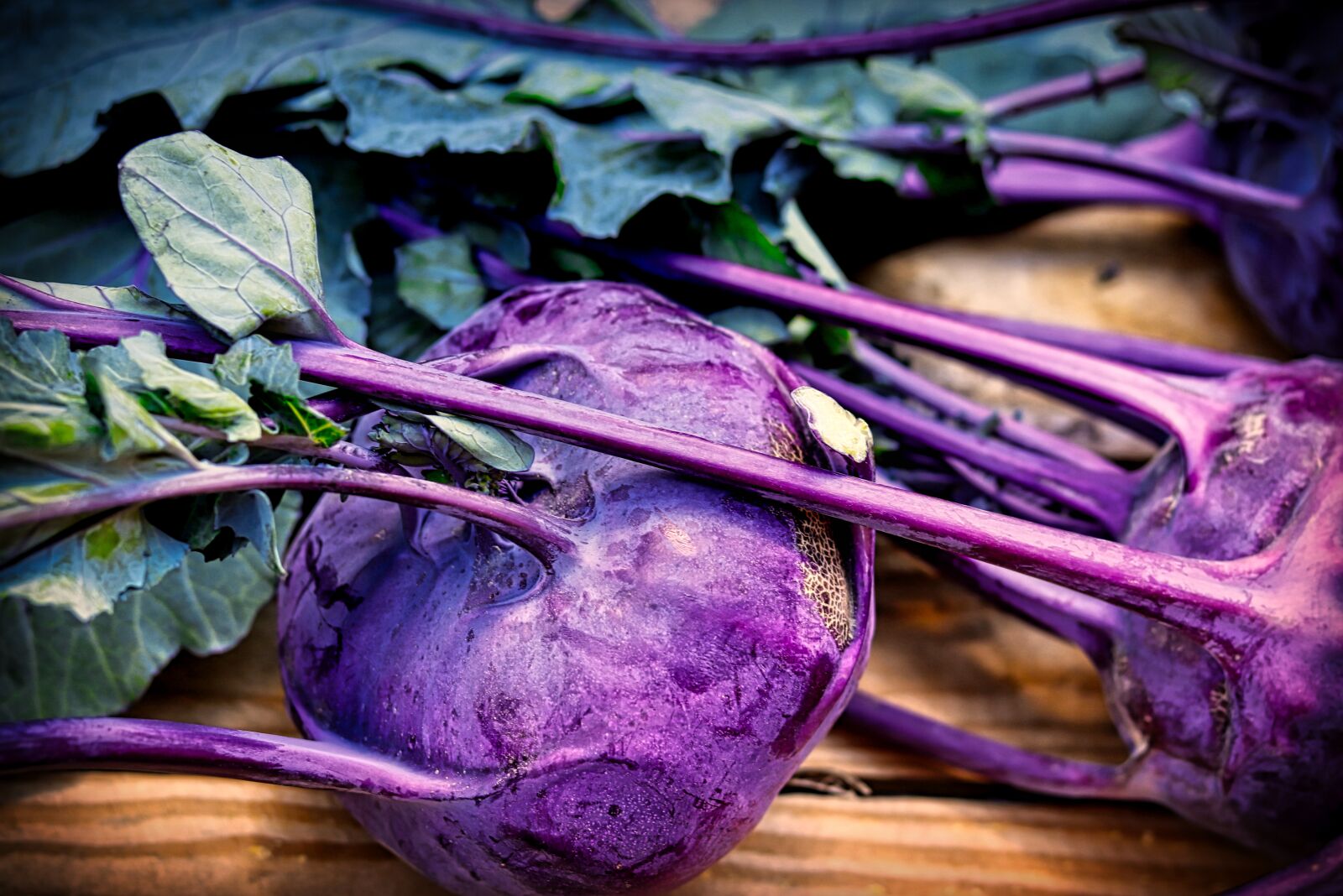 Canon EF 50mm F1.8 STM sample photo. Kohlrabi, leaves, vegetables photography