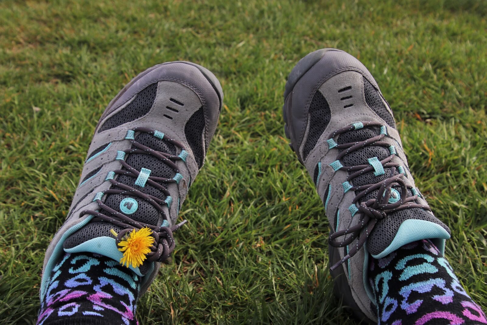 Canon EOS 80D sample photo. Sports shoes, hipster, laces photography