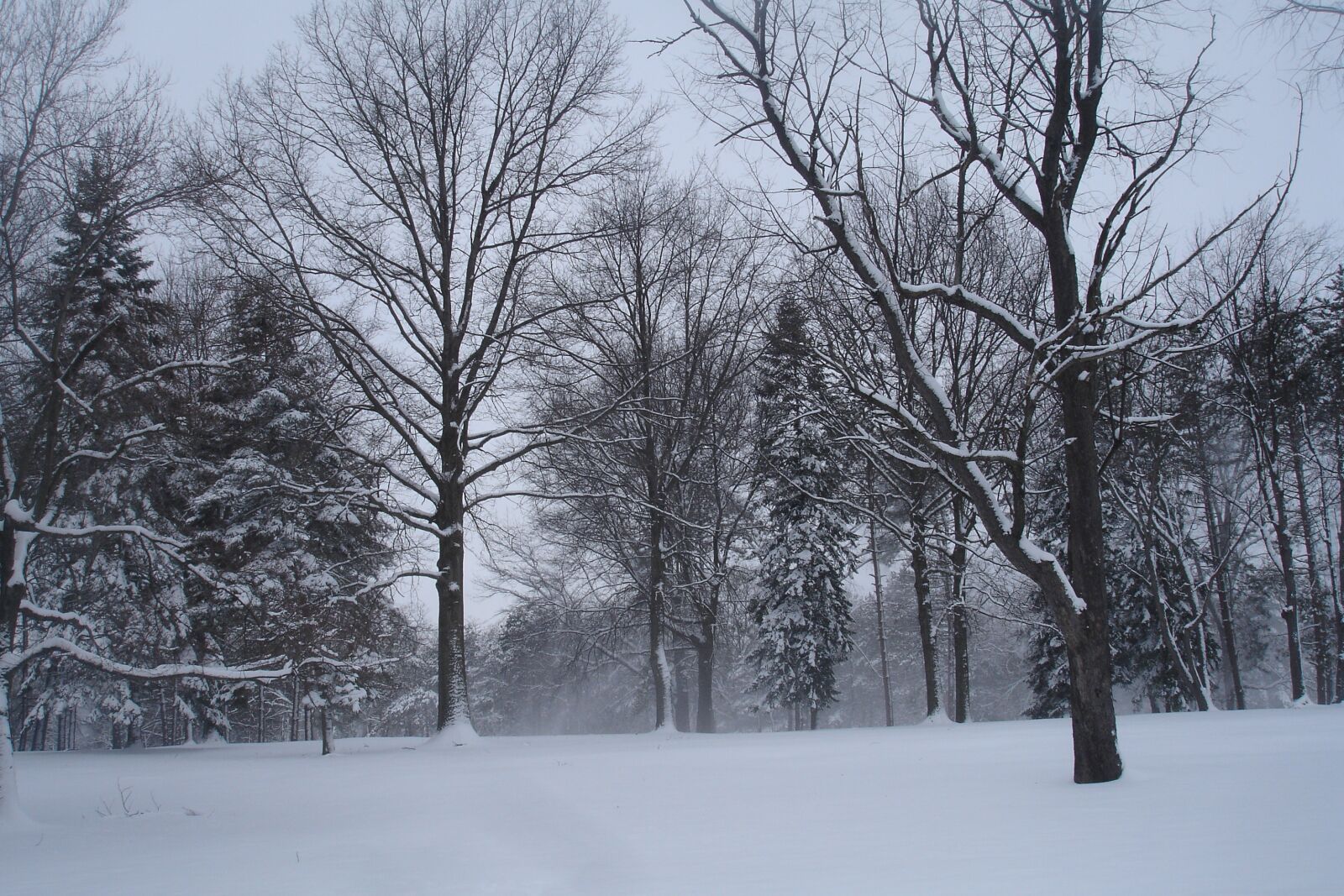 Sony DSC-P200 sample photo. Winter, landscape, snow photography