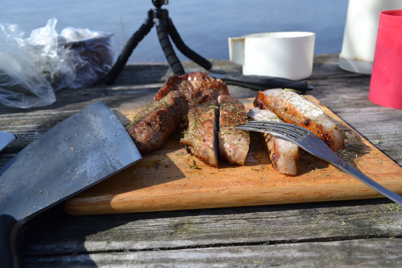Nikon D3100 sample photo. Food, meat, shish kebab photography