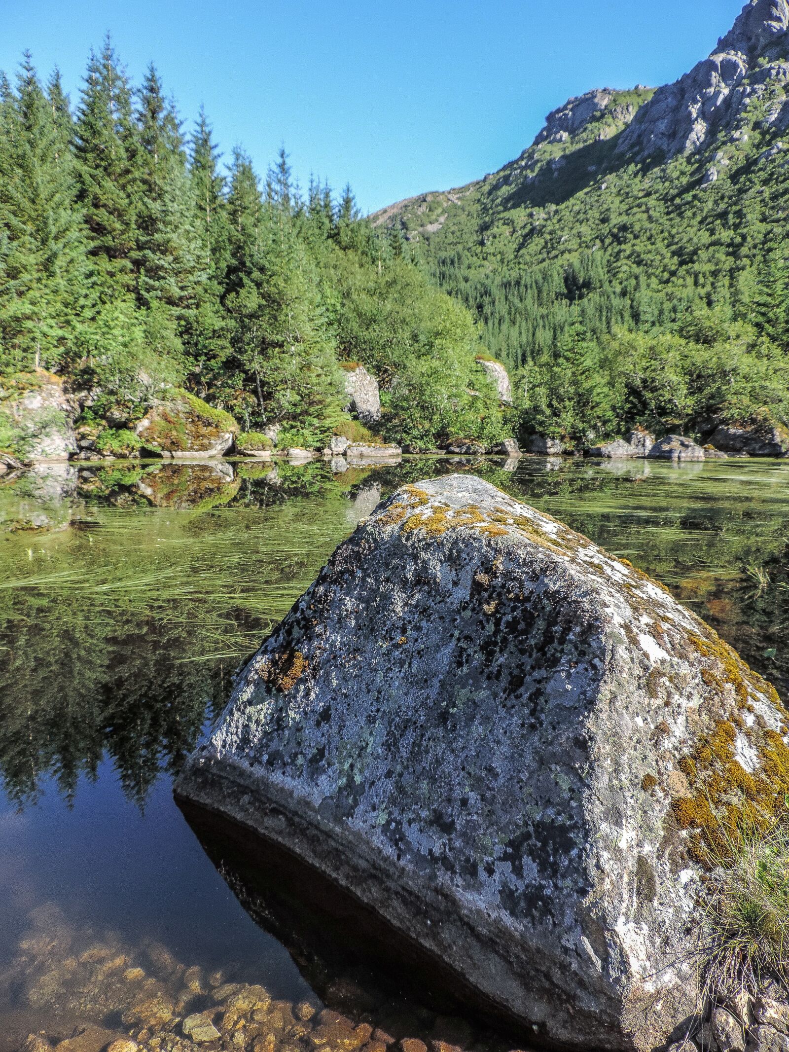 Nikon Coolpix P520 sample photo. Stone, mountains, forest photography