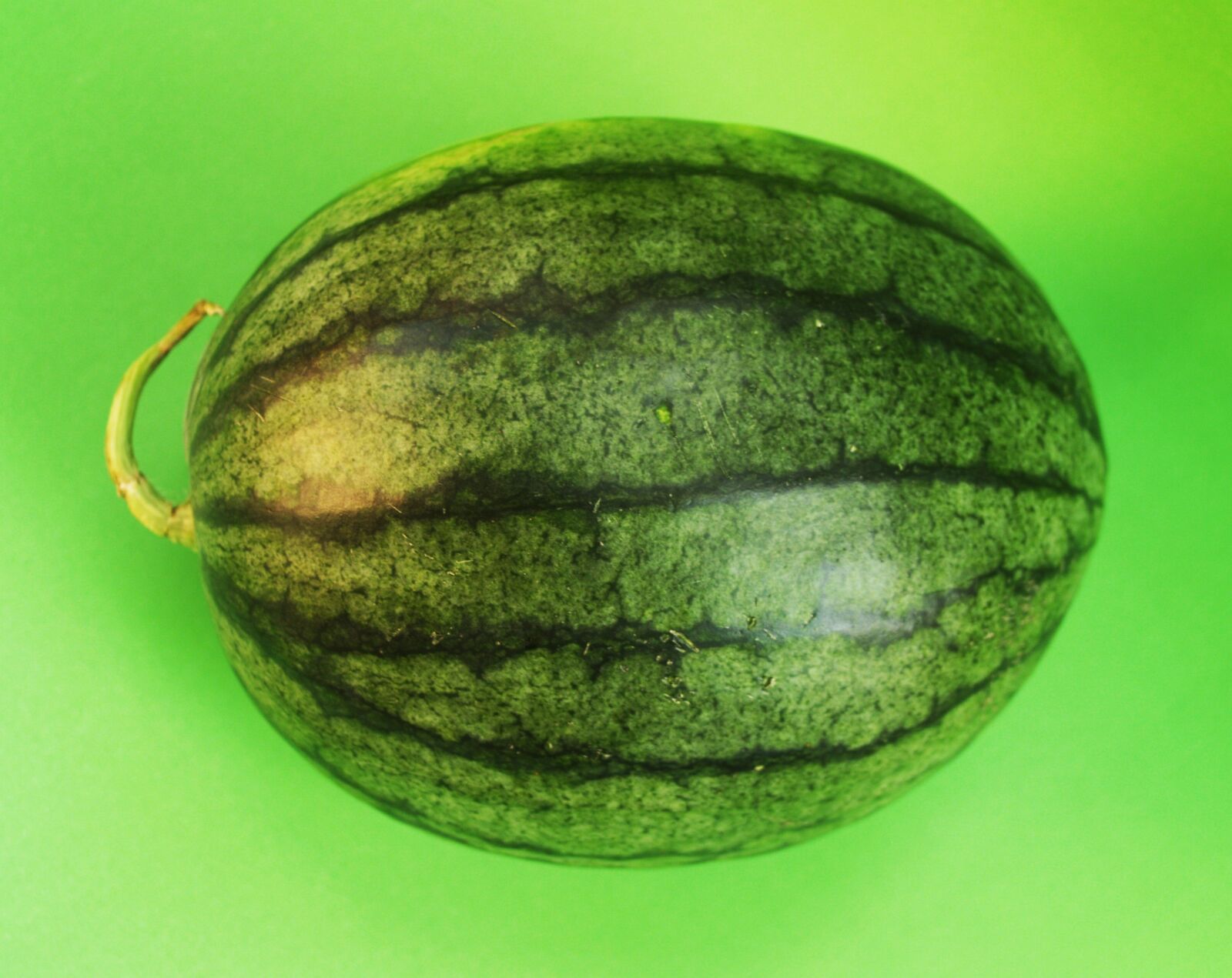 Olympus E-300 (EVOLT E-300) sample photo. Watermelon, slice, isolated photography