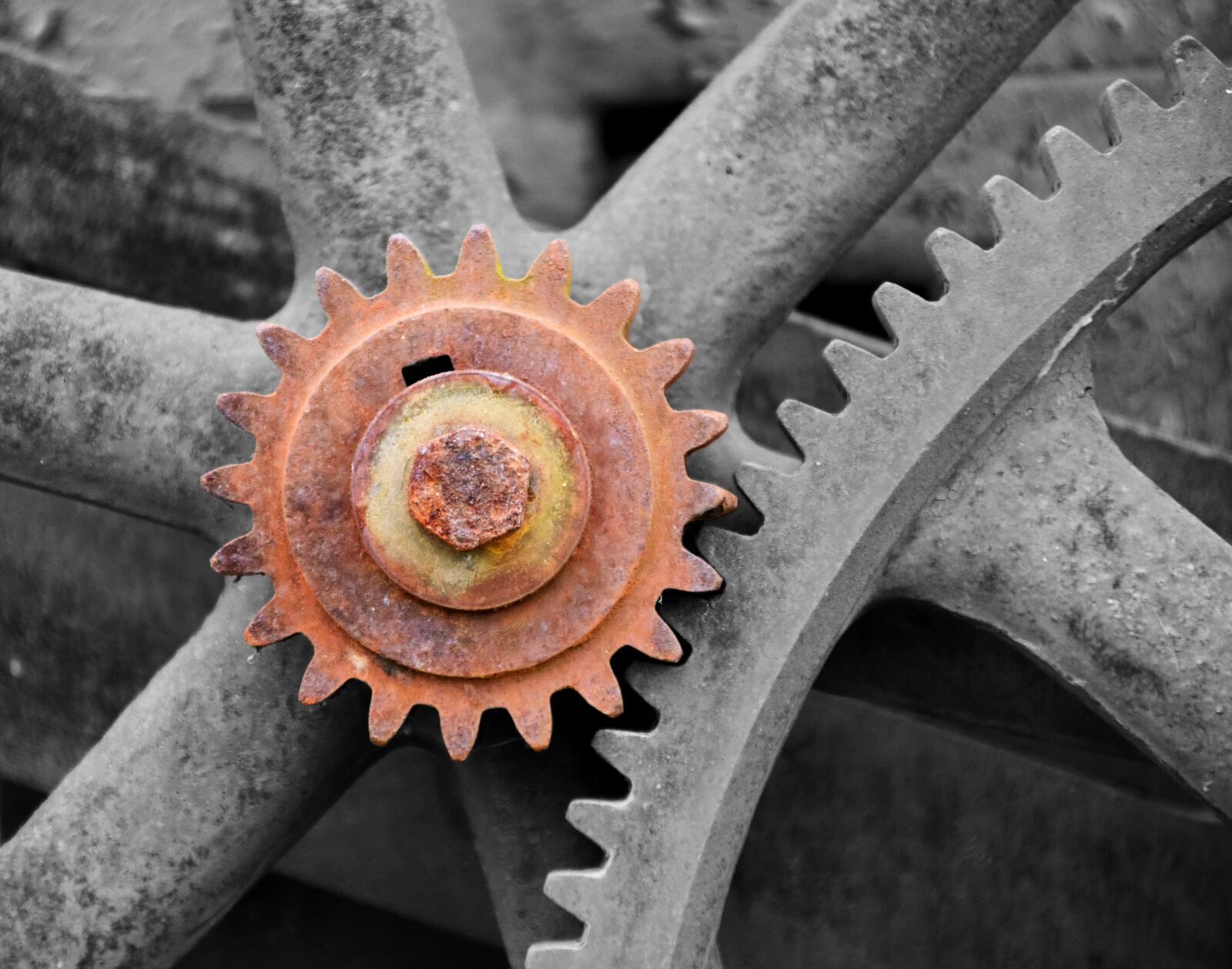 Nikon D3300 sample photo. Gear, technology, gears photography