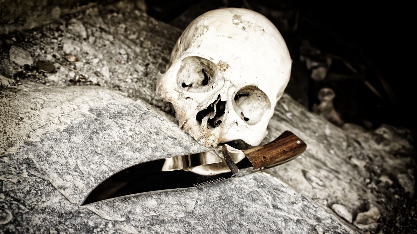 Sony Alpha NEX-5 + Sony E 18-55mm F3.5-5.6 OSS sample photo. Skull, knife, bone photography