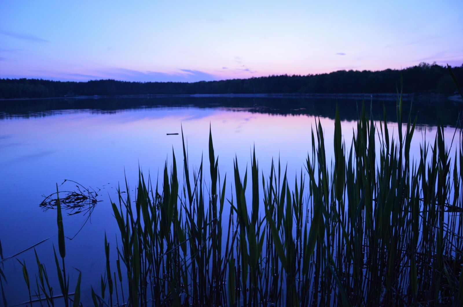 Nikon D3200 sample photo. Lake, west, sun photography