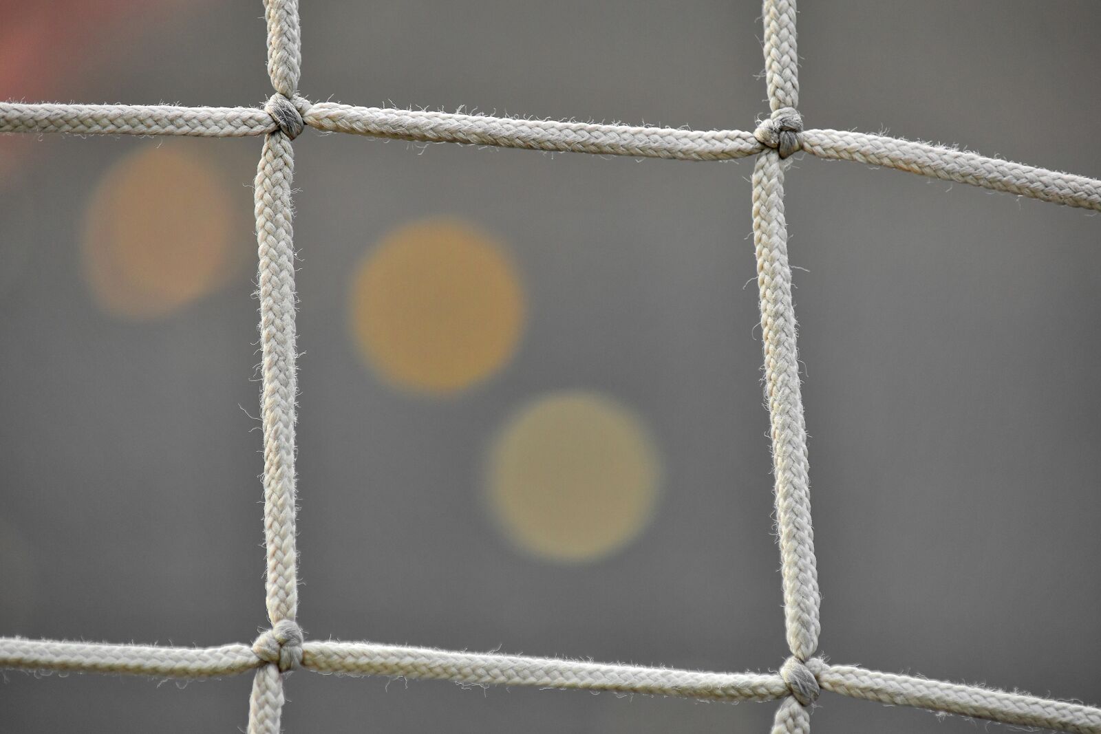 Nikon D5500 sample photo. Web, rope, knot, string photography