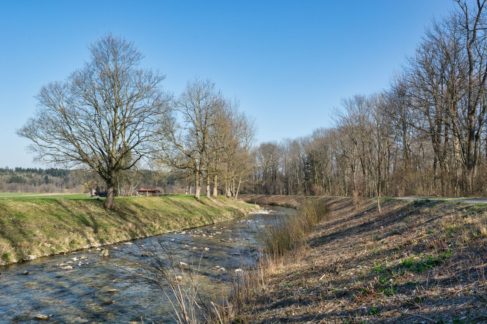 Nikon D7100 sample photo. Spring, river, trees photography