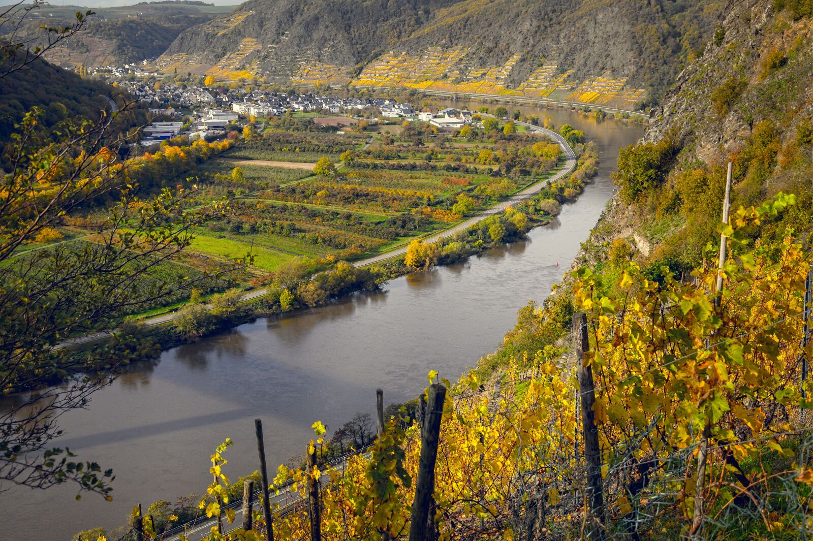 Nikon Z6 sample photo. Vineyards, mosel, germany photography