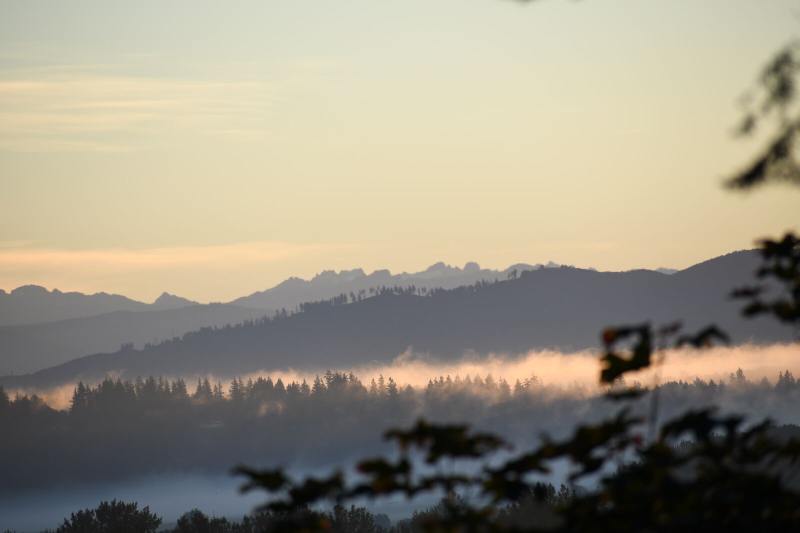Nikon D500 sample photo. Dawn, landscape, nature photography