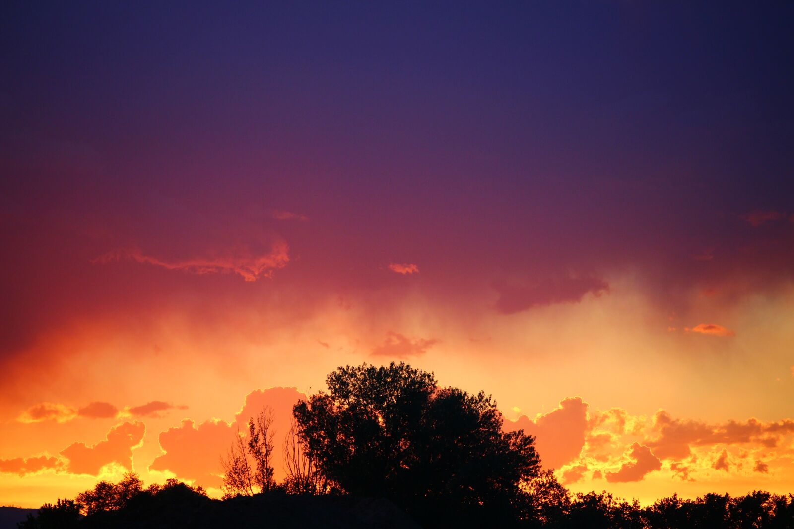 Canon EOS 700D (EOS Rebel T5i / EOS Kiss X7i) sample photo. Sunset, contrast, tree photography