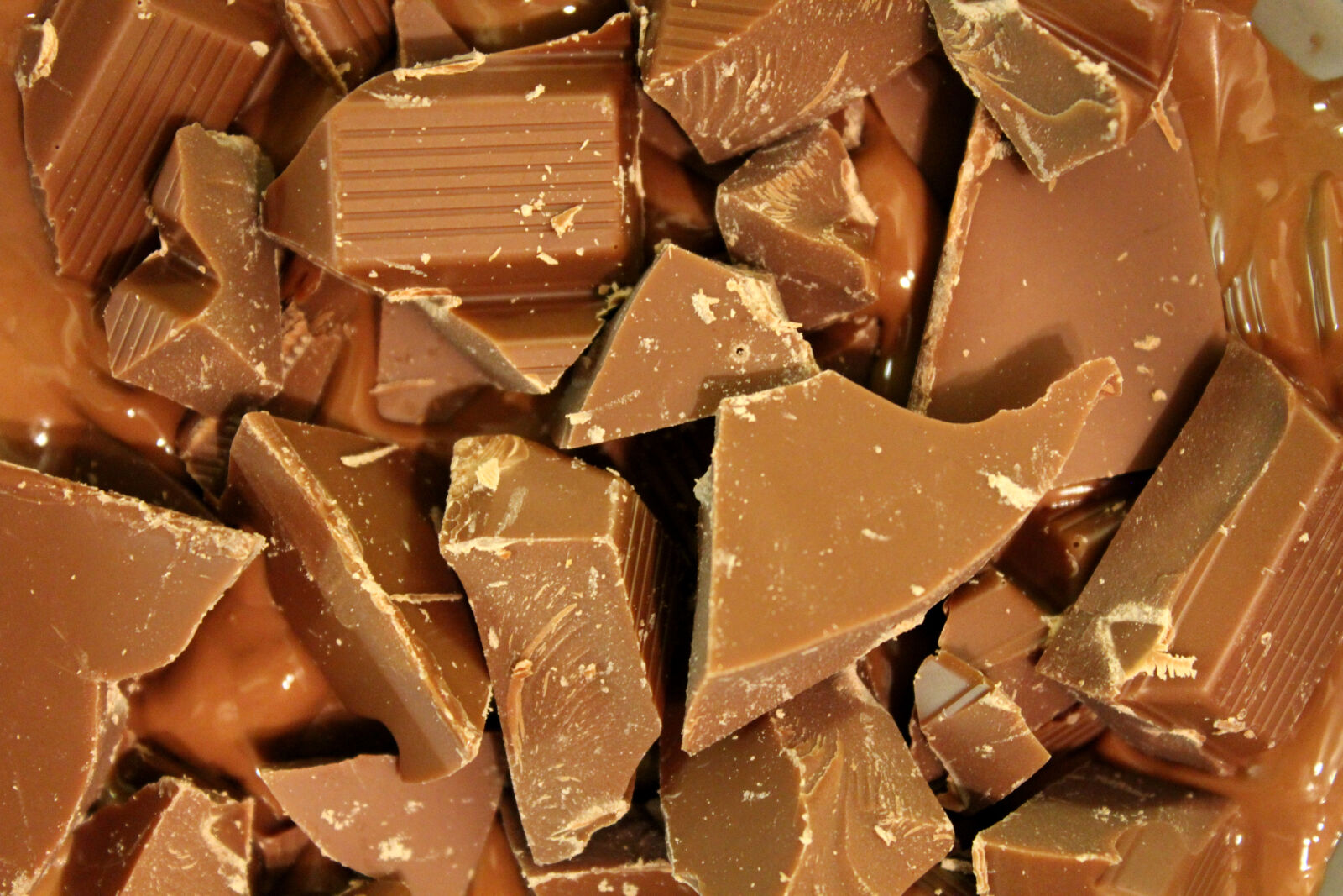 Canon EOS 600D (Rebel EOS T3i / EOS Kiss X5) sample photo. Chocolate, chunks, macro photography