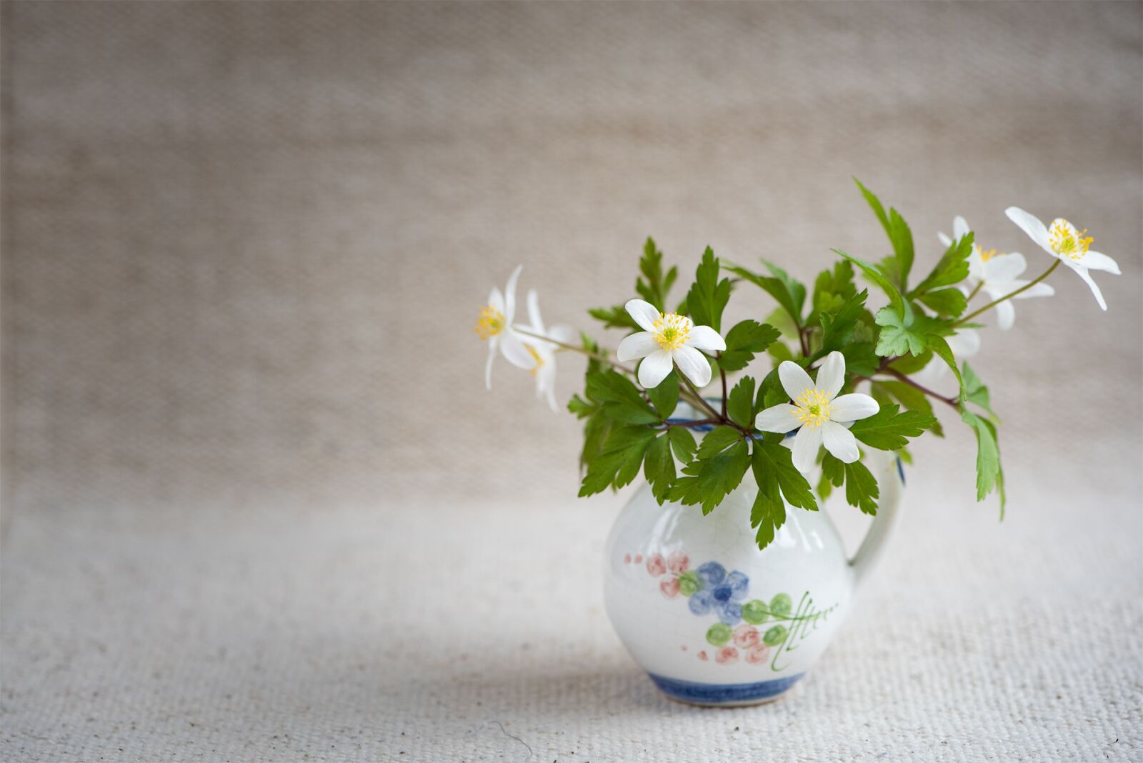 Nikon D750 sample photo. Bush-windr schen, ranunculaceae, anemone photography