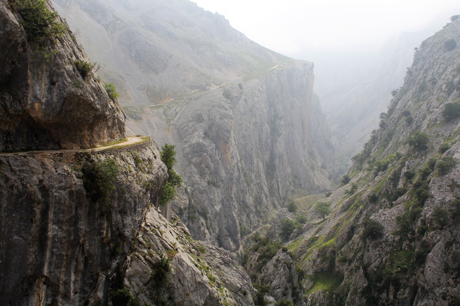 Canon EOS 600D (Rebel EOS T3i / EOS Kiss X5) sample photo. Path, mountain, mountain landscape photography