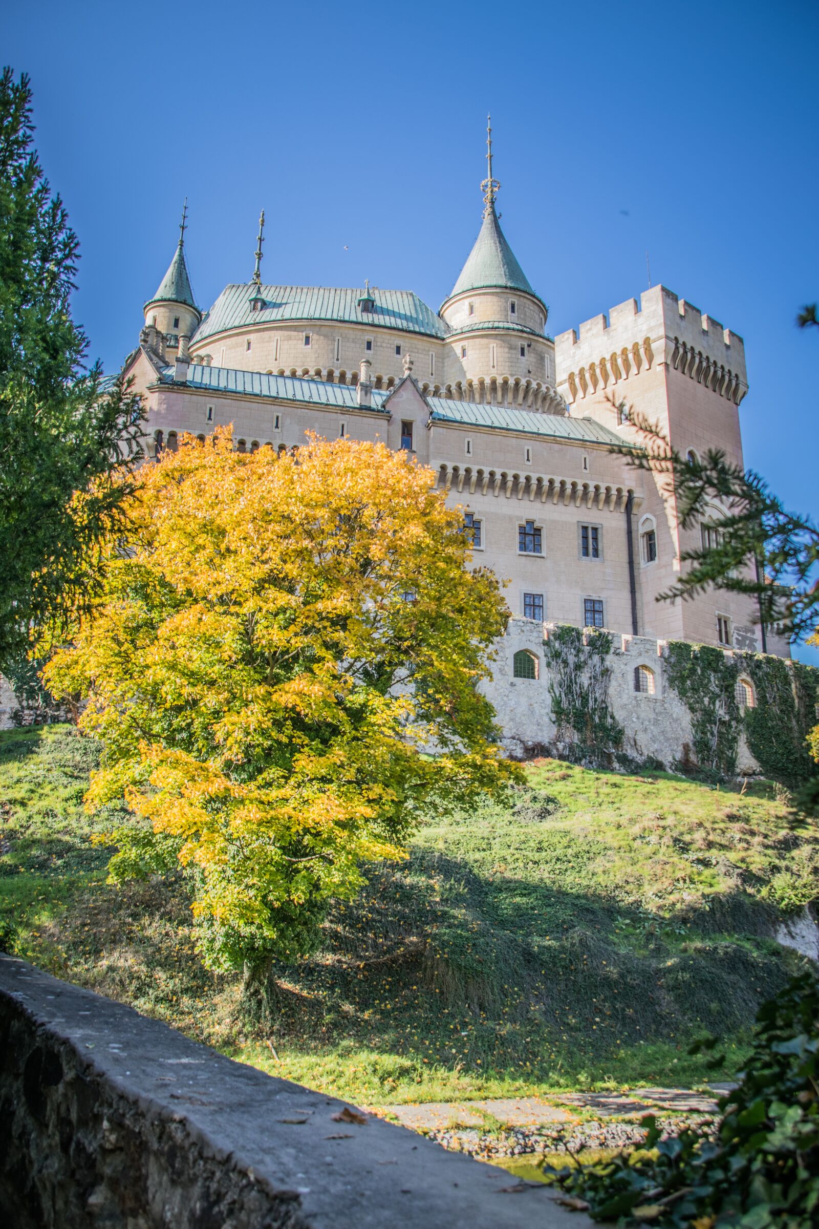 Nikon D5300 sample photo. Autumn, castle, architecture photography