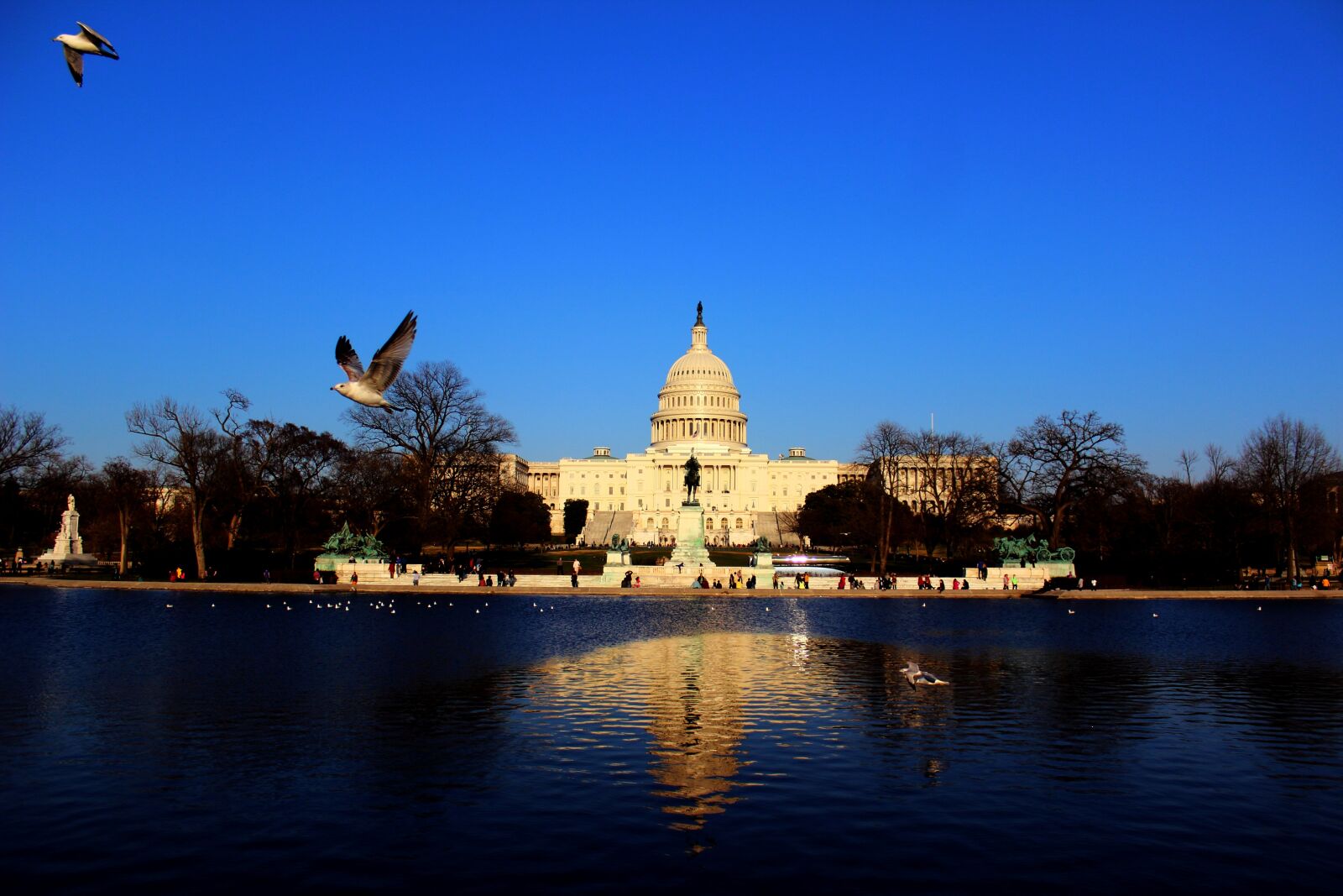 Canon EOS 600D (Rebel EOS T3i / EOS Kiss X5) sample photo. Capitol, usa, washington, dc photography