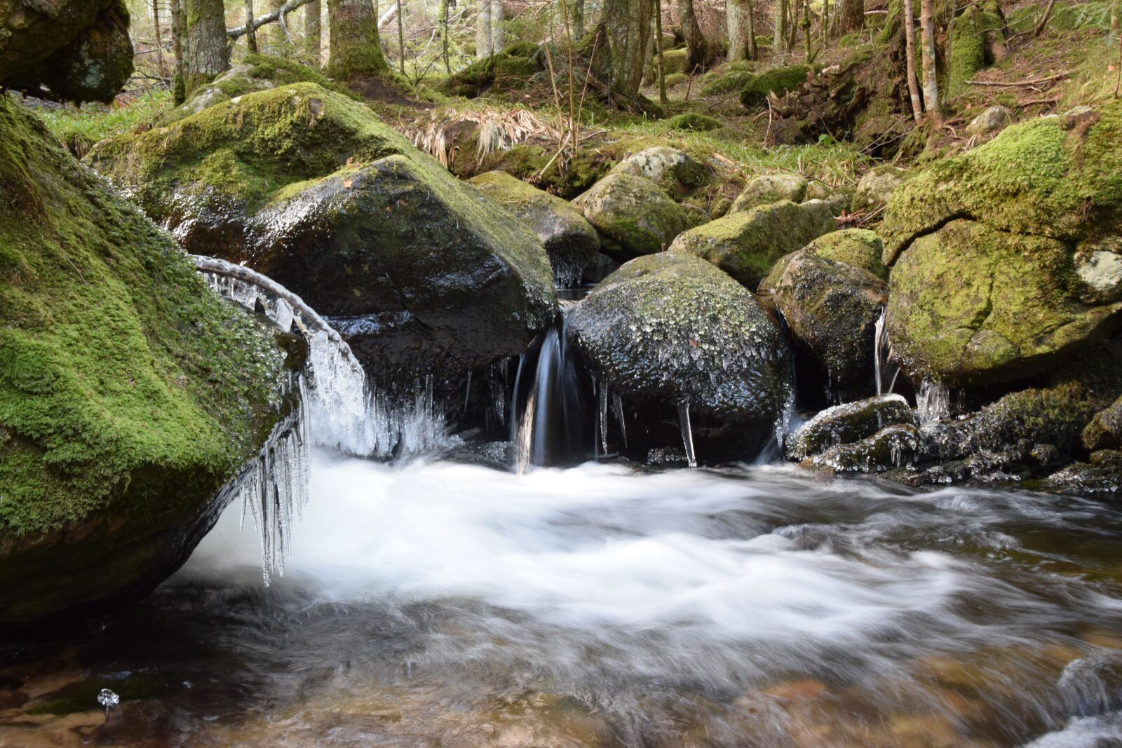 Nikon D5300 sample photo. Water, winter, nature photography
