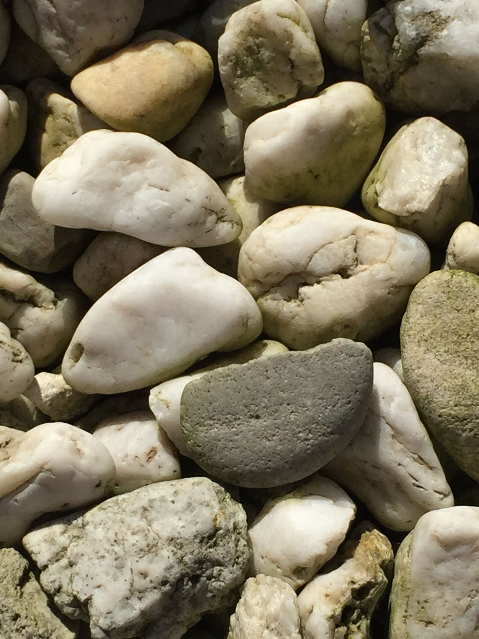 iPhone 6 Plus back camera 4.15mm f/2.2 sample photo. Stones, pebble, pebbles photography