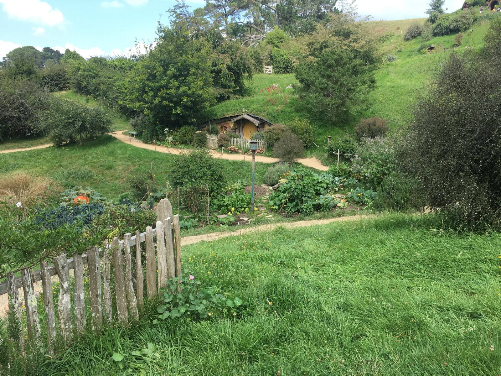 Apple iPhone 6s sample photo. Hobbiton, mata mata, new photography