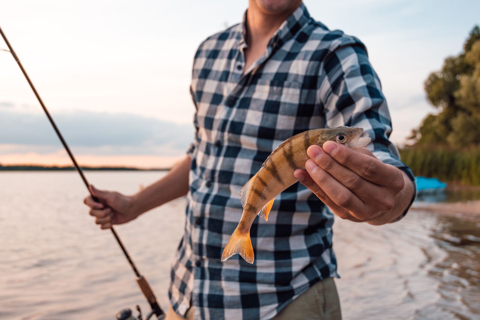 Nikon D500 sample photo. Perch, angler, fishing photography