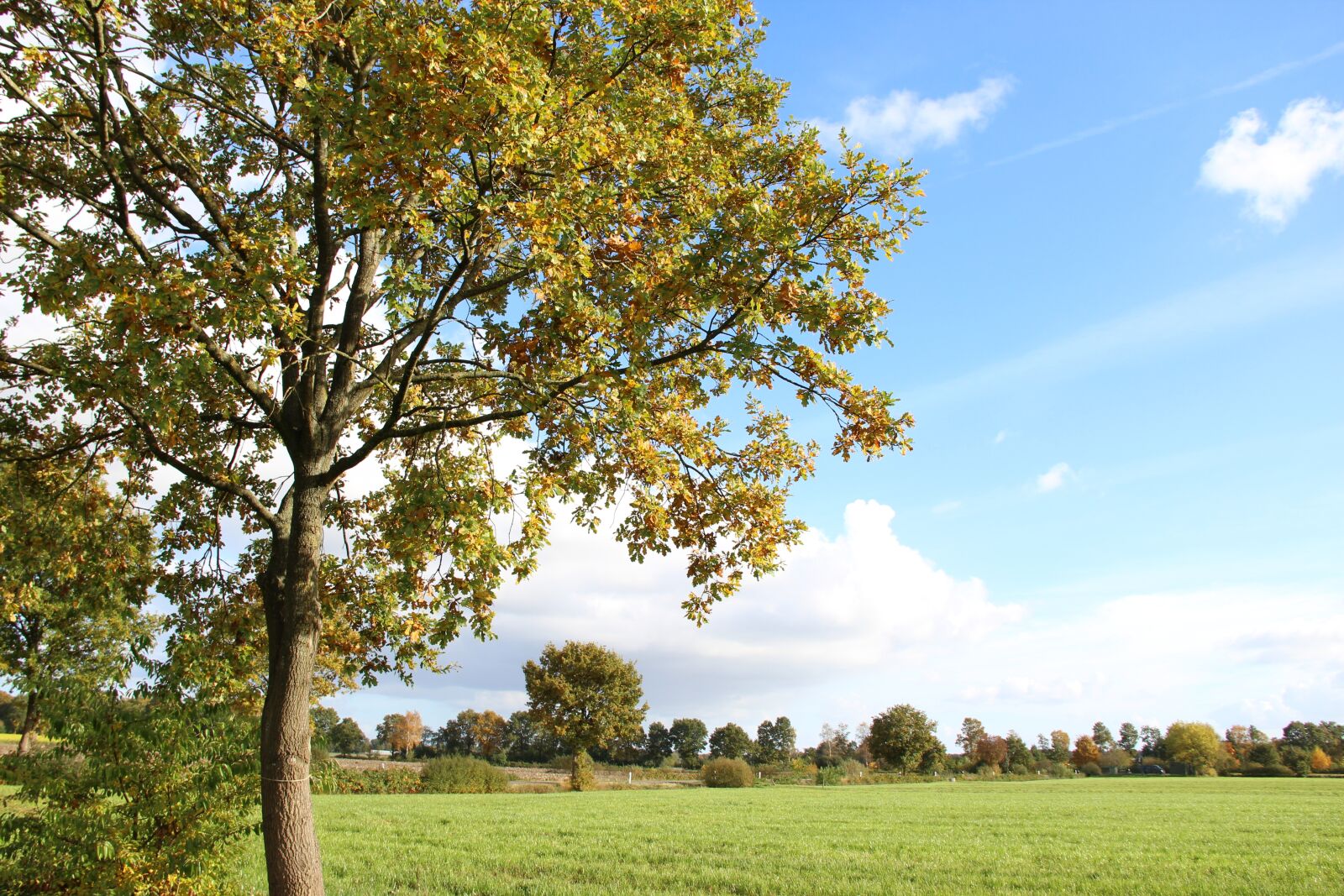 Canon EOS 1200D (EOS Rebel T5 / EOS Kiss X70 / EOS Hi) sample photo. Landscape, autumn, meadow photography