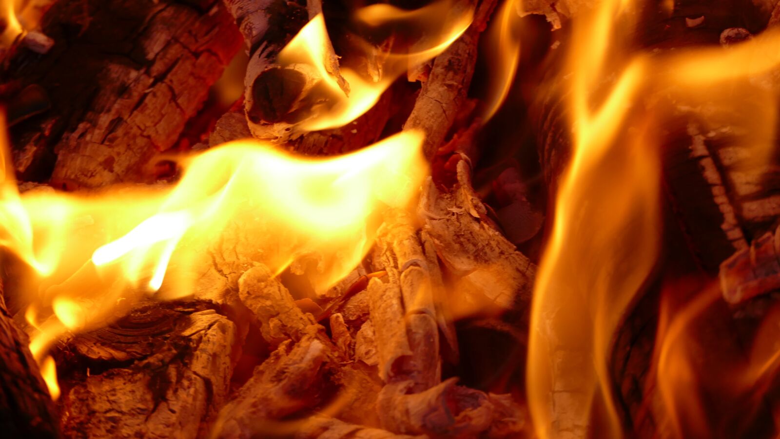 Panasonic Lumix DMC-FZ1000 sample photo. Fire, fire bowl, night photography