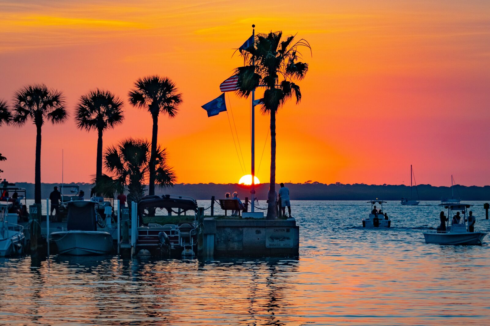 Nikon D850 sample photo. Florida, sunset, palm trees photography